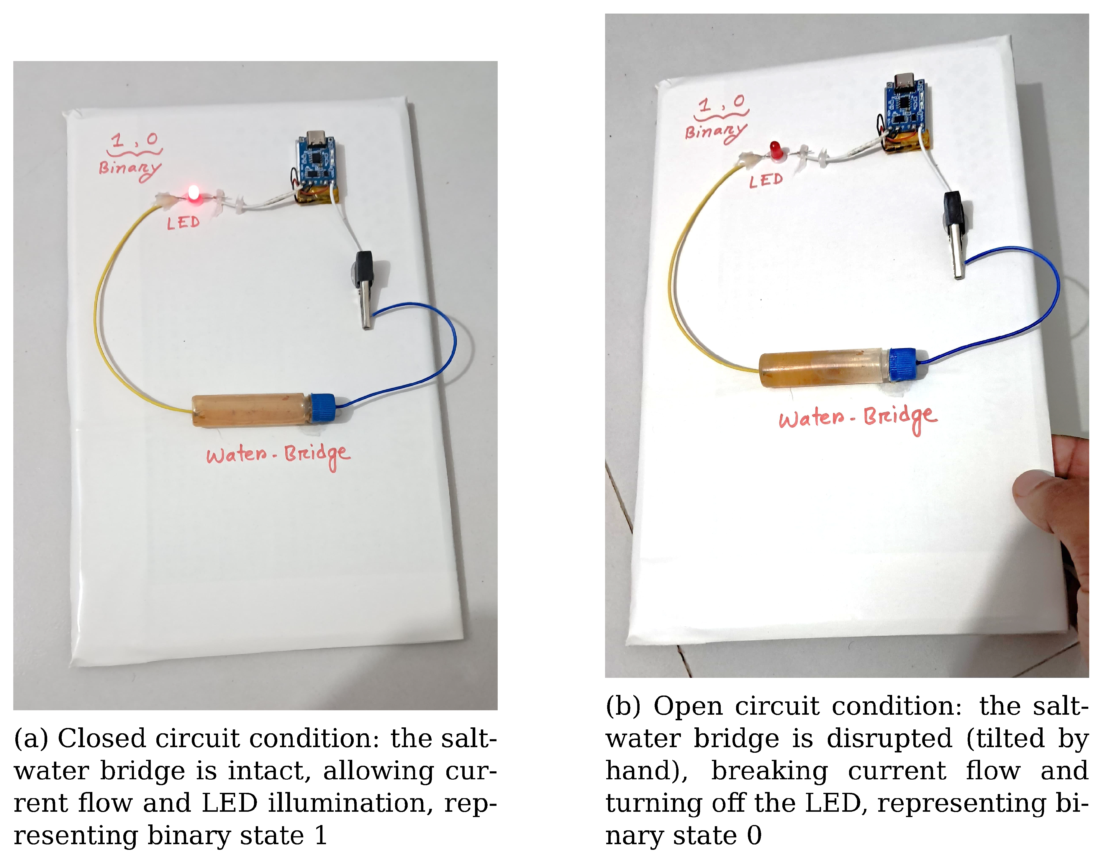 Preprints 162393 g003