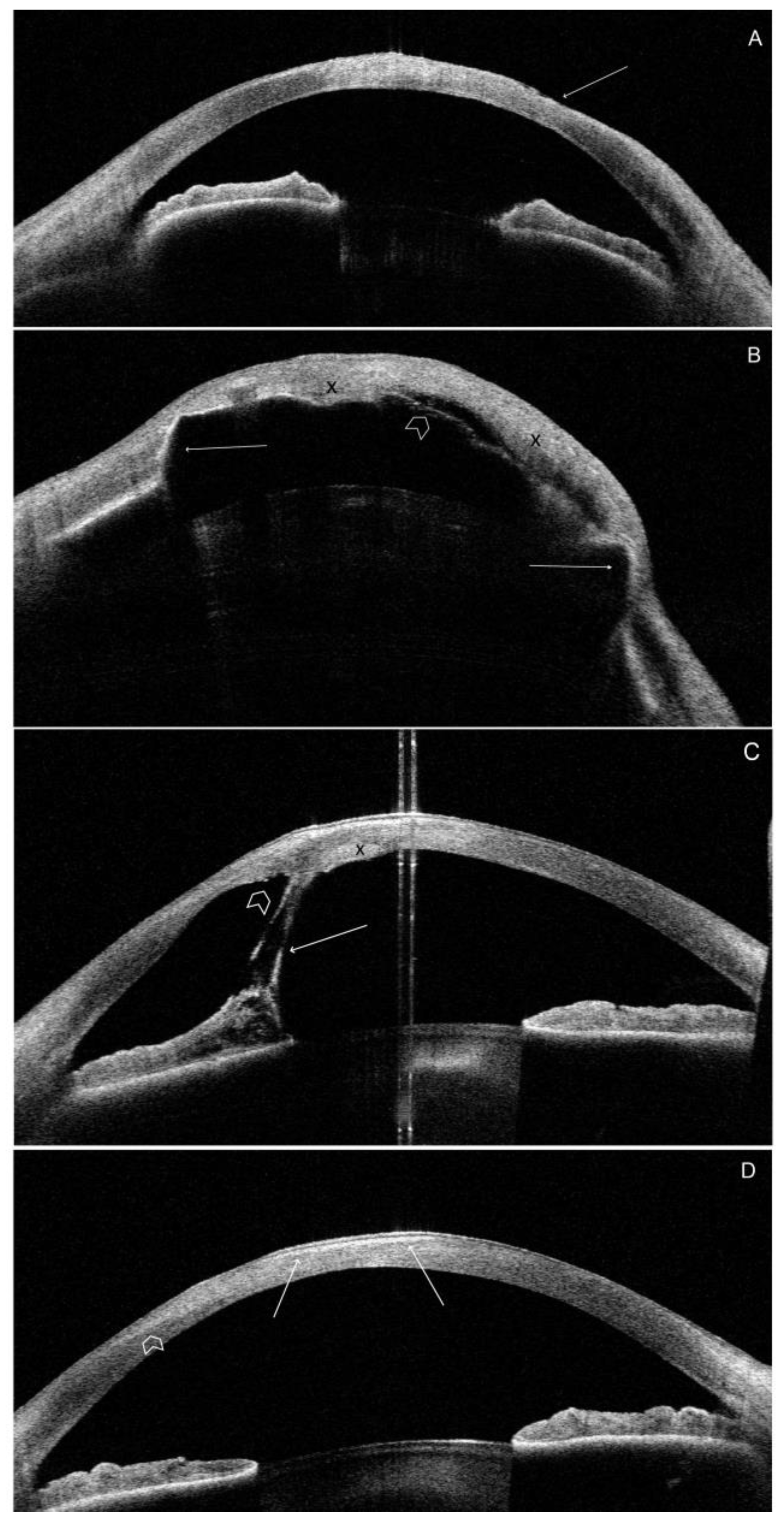 Preprints 76880 g003