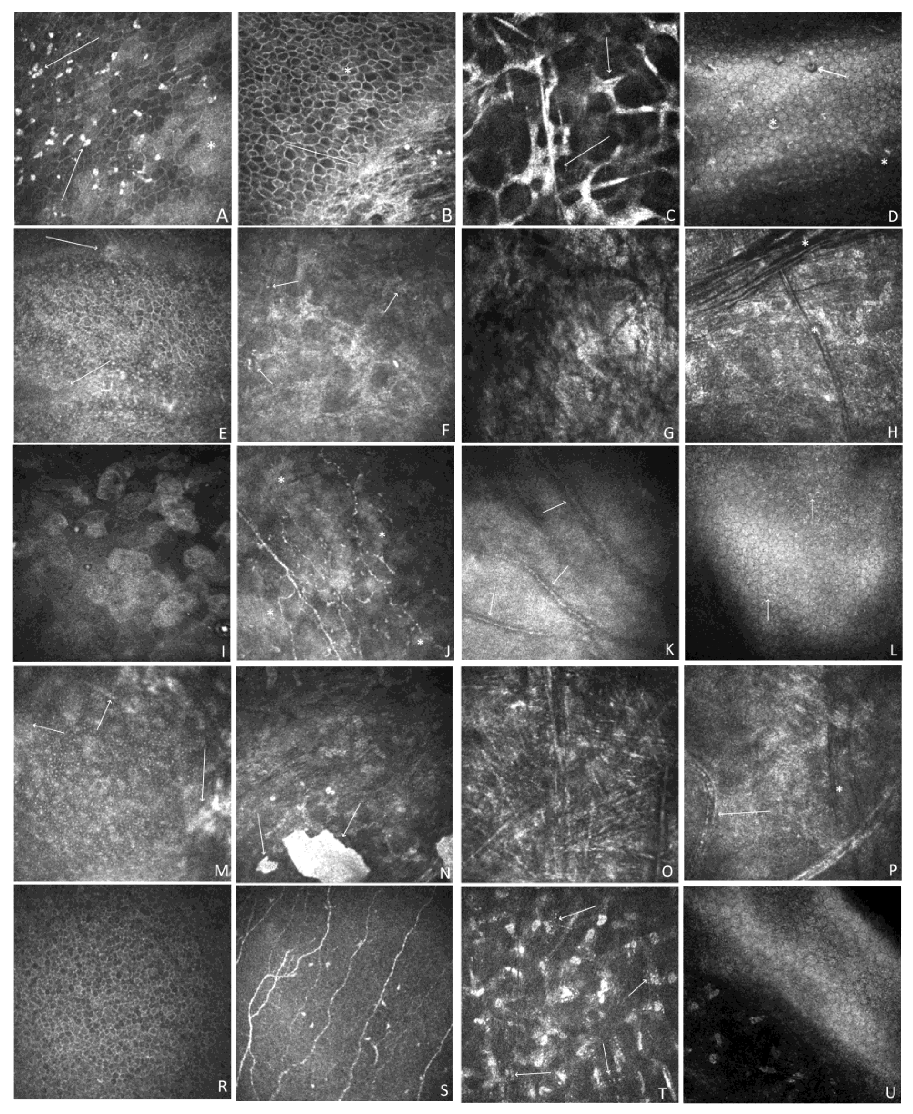 Preprints 76880 g004