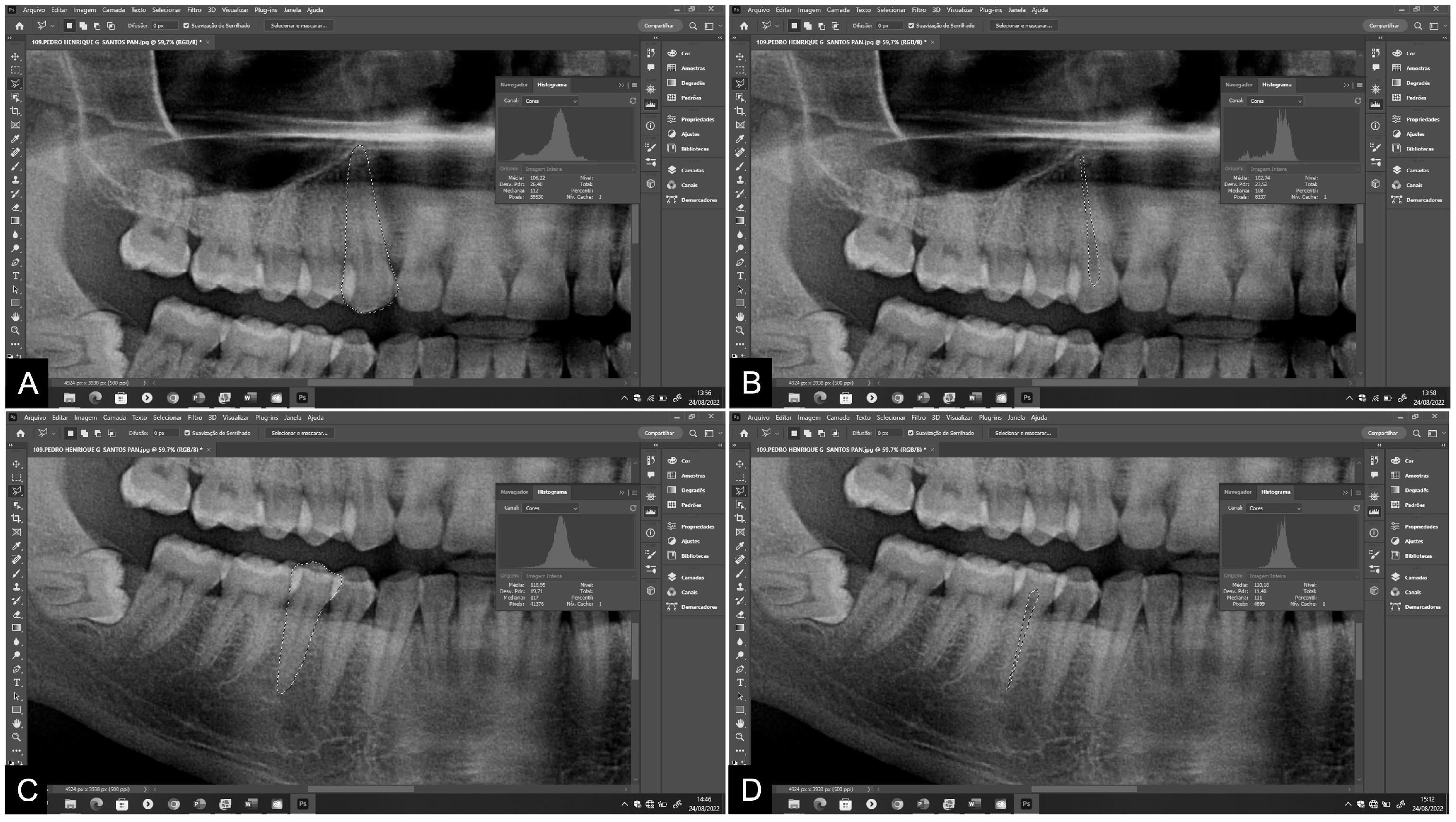 Preprints 98274 g001