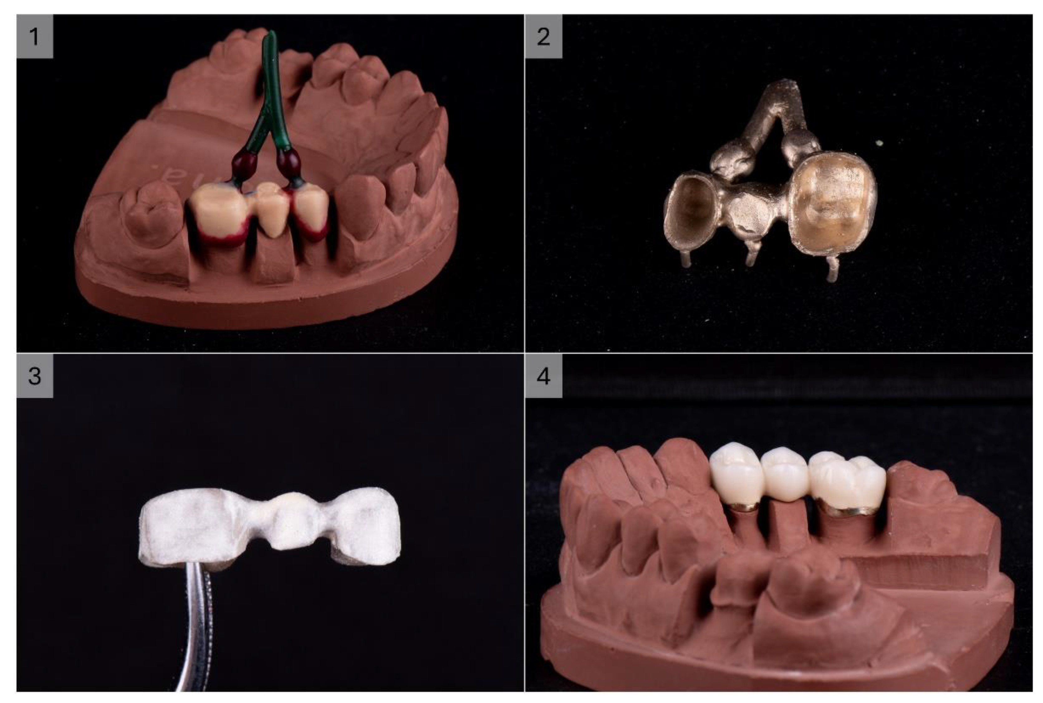 Preprints 118042 g004