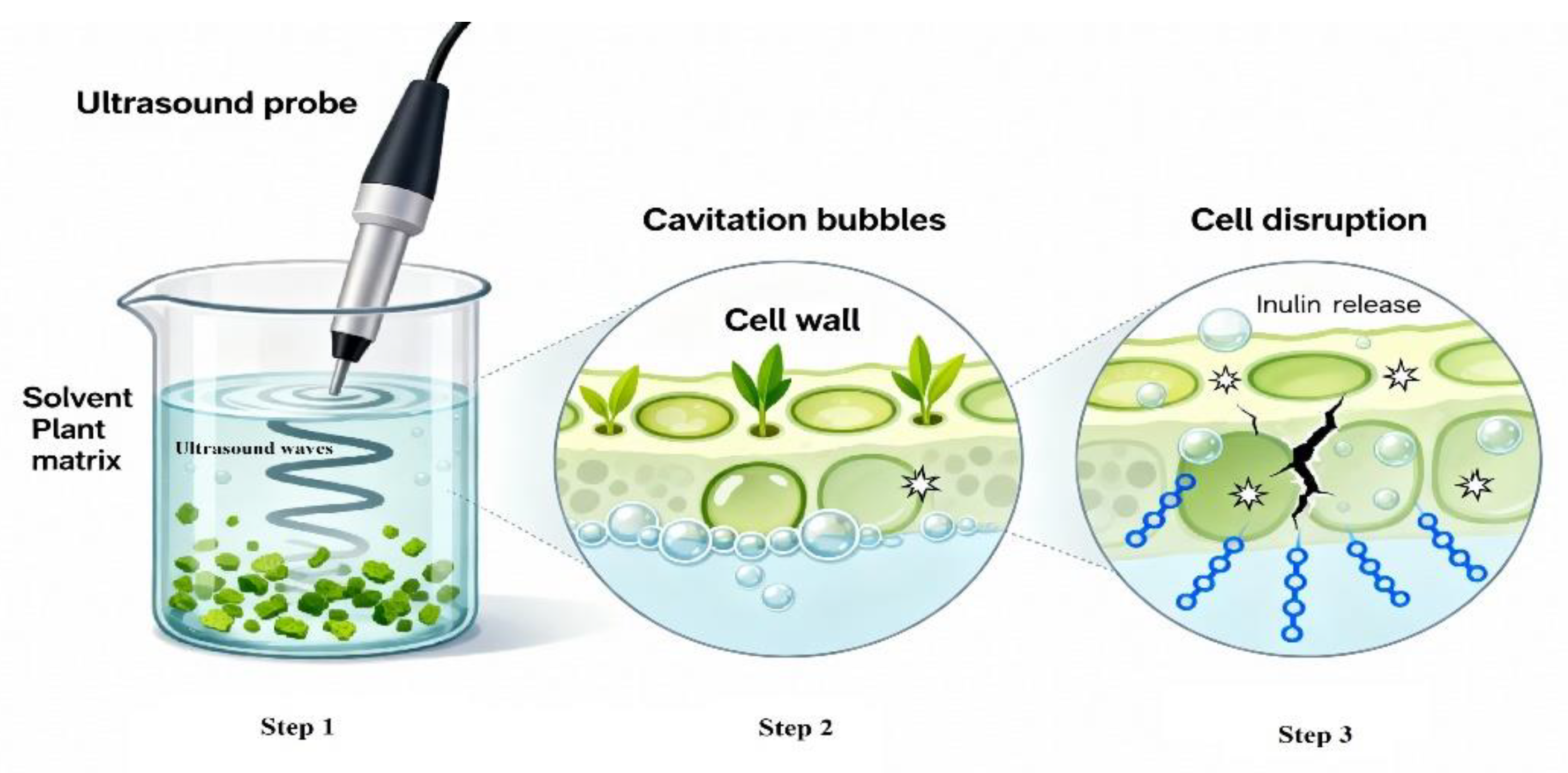 Preprints 190534 g003