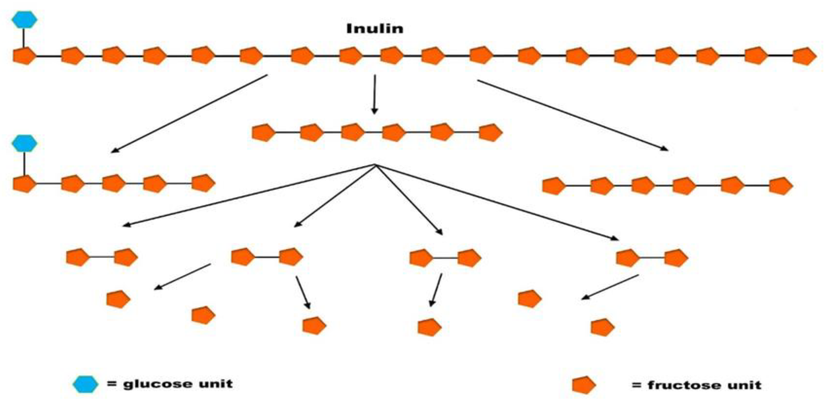 Preprints 190534 g004