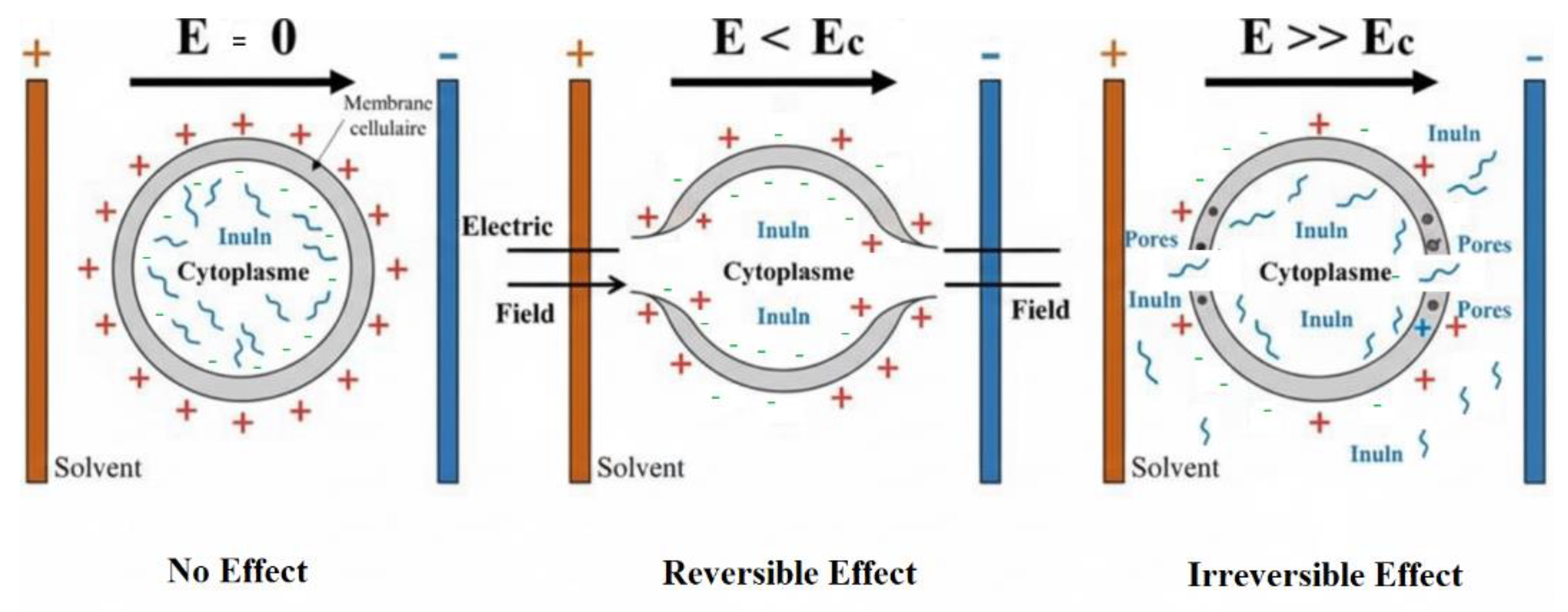 Preprints 190534 g005