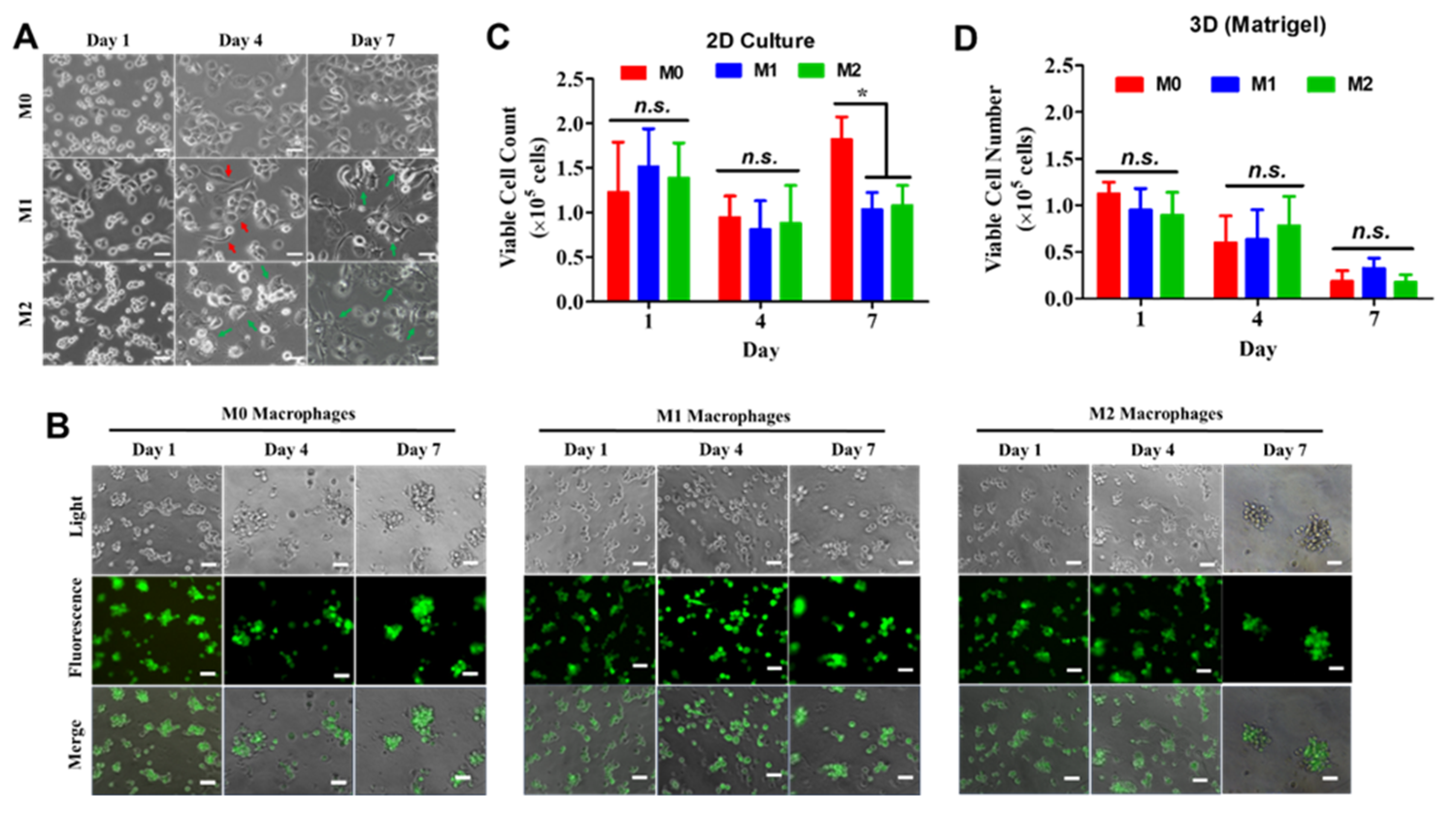 Preprints 203463 g001