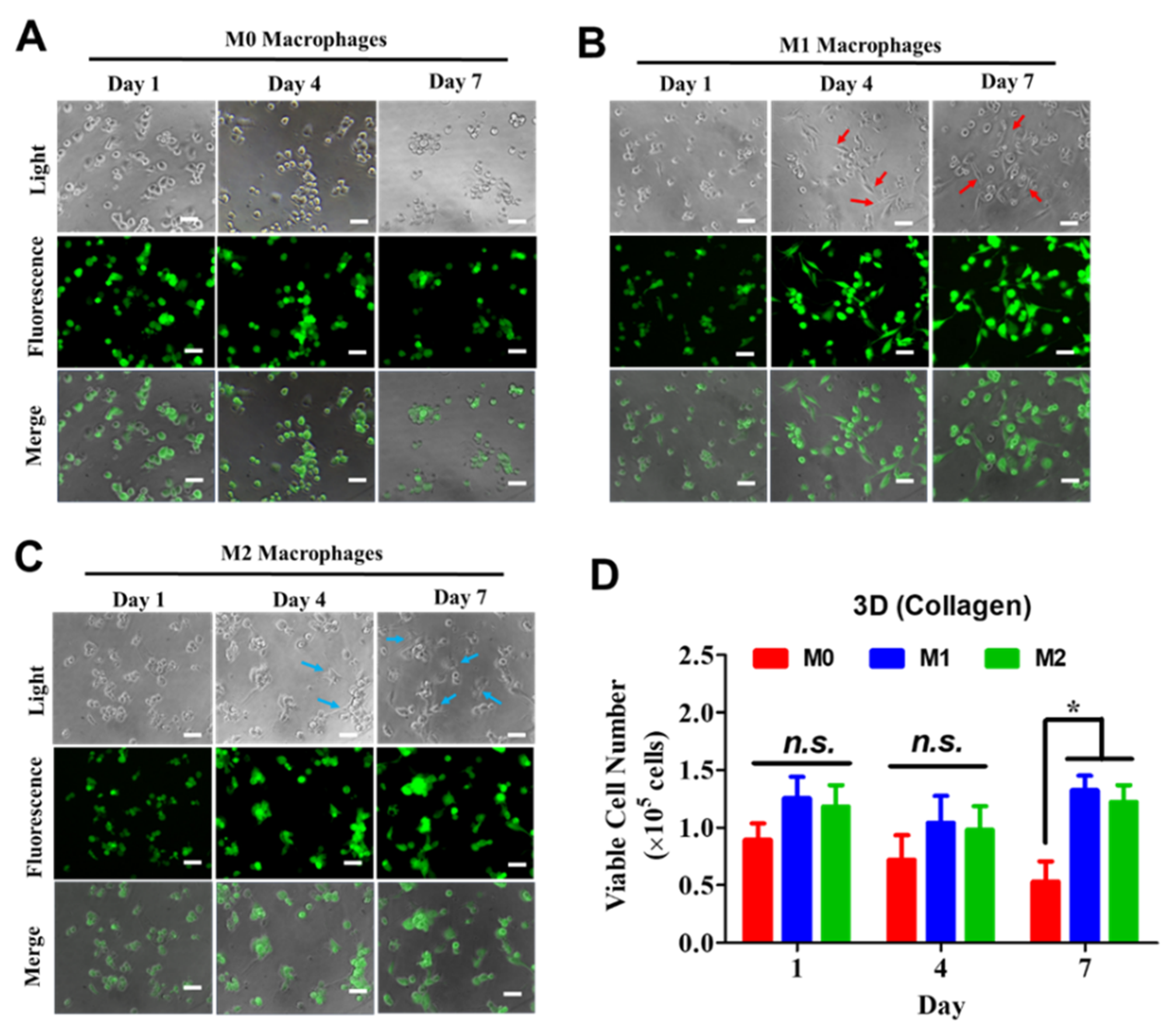 Preprints 203463 g002