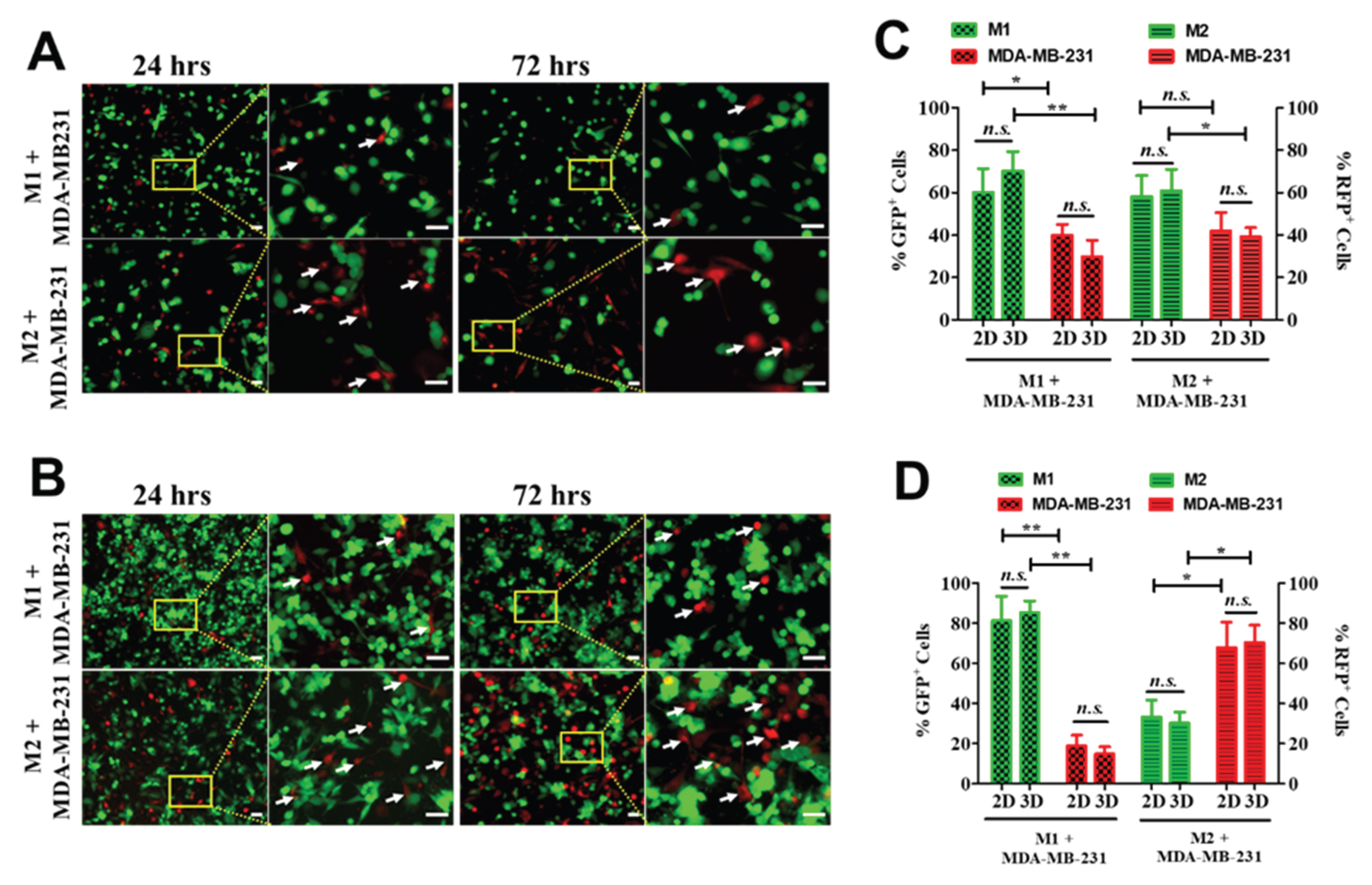 Preprints 203463 g006