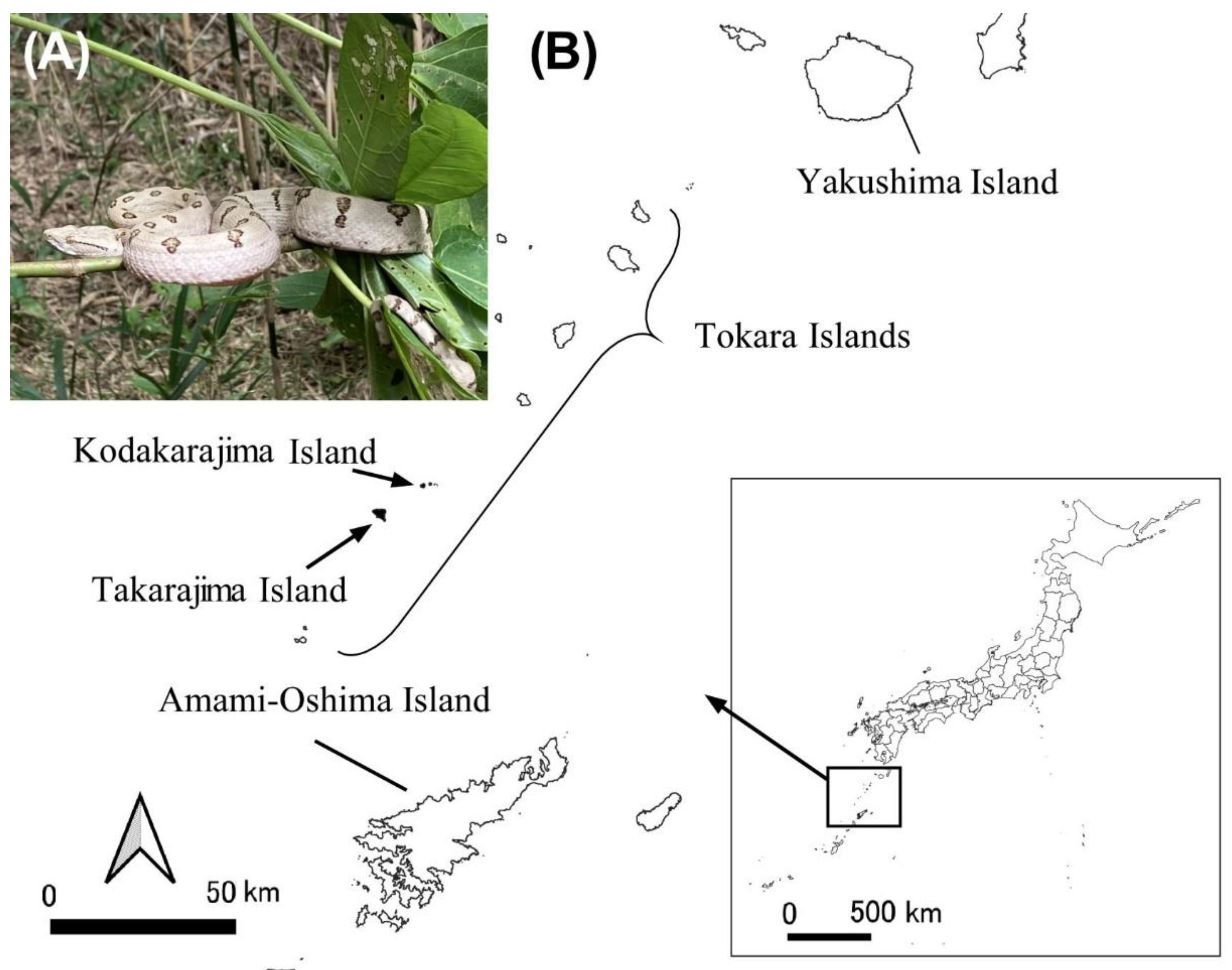 Preprints 86737 g001