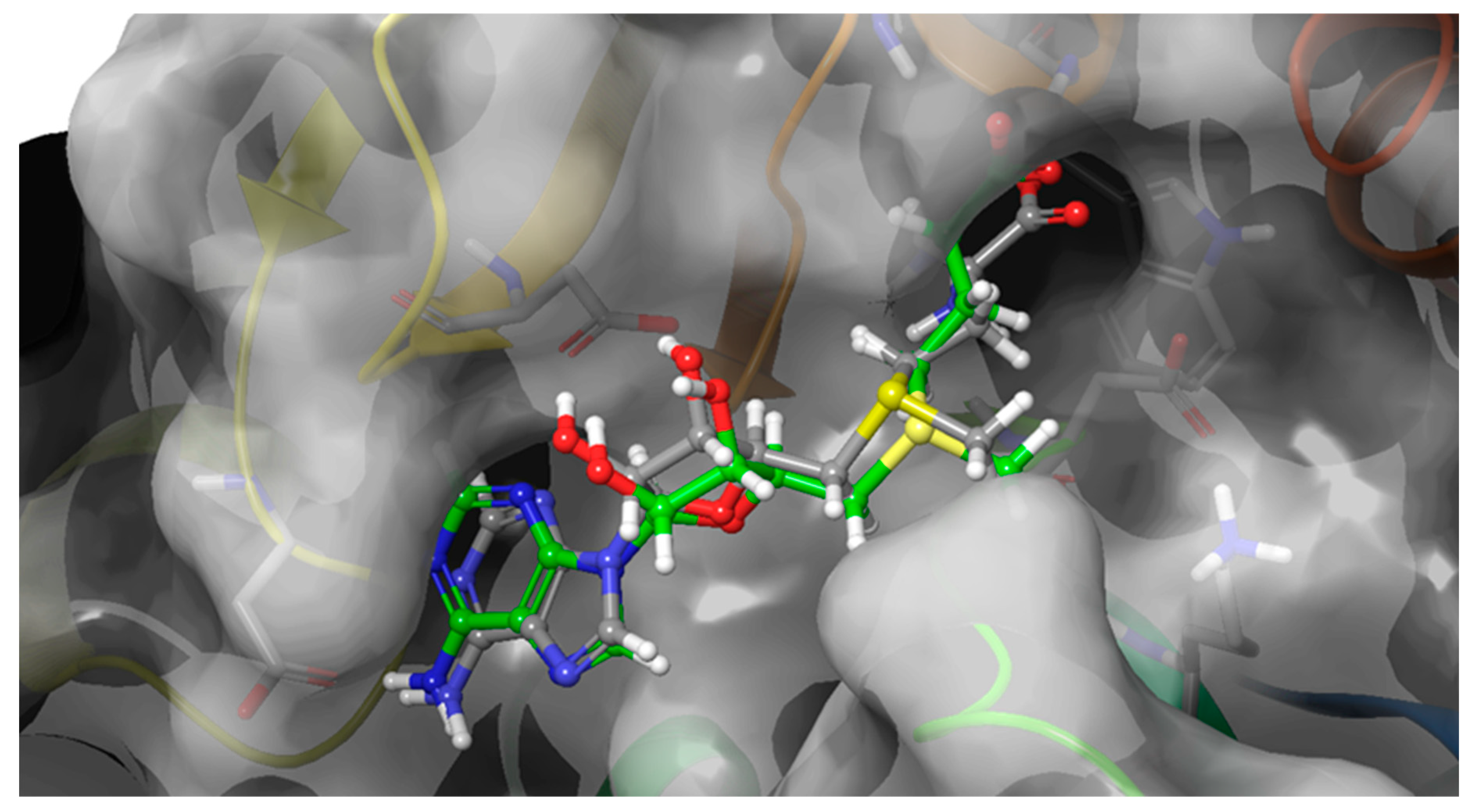 Preprints 71365 g002