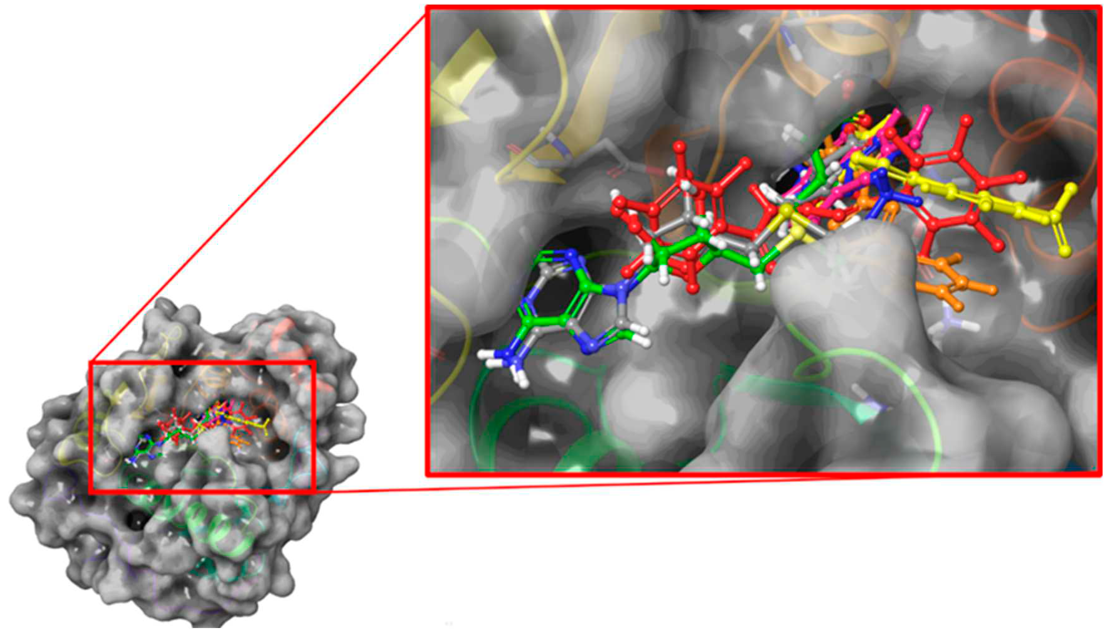 Preprints 71365 g003