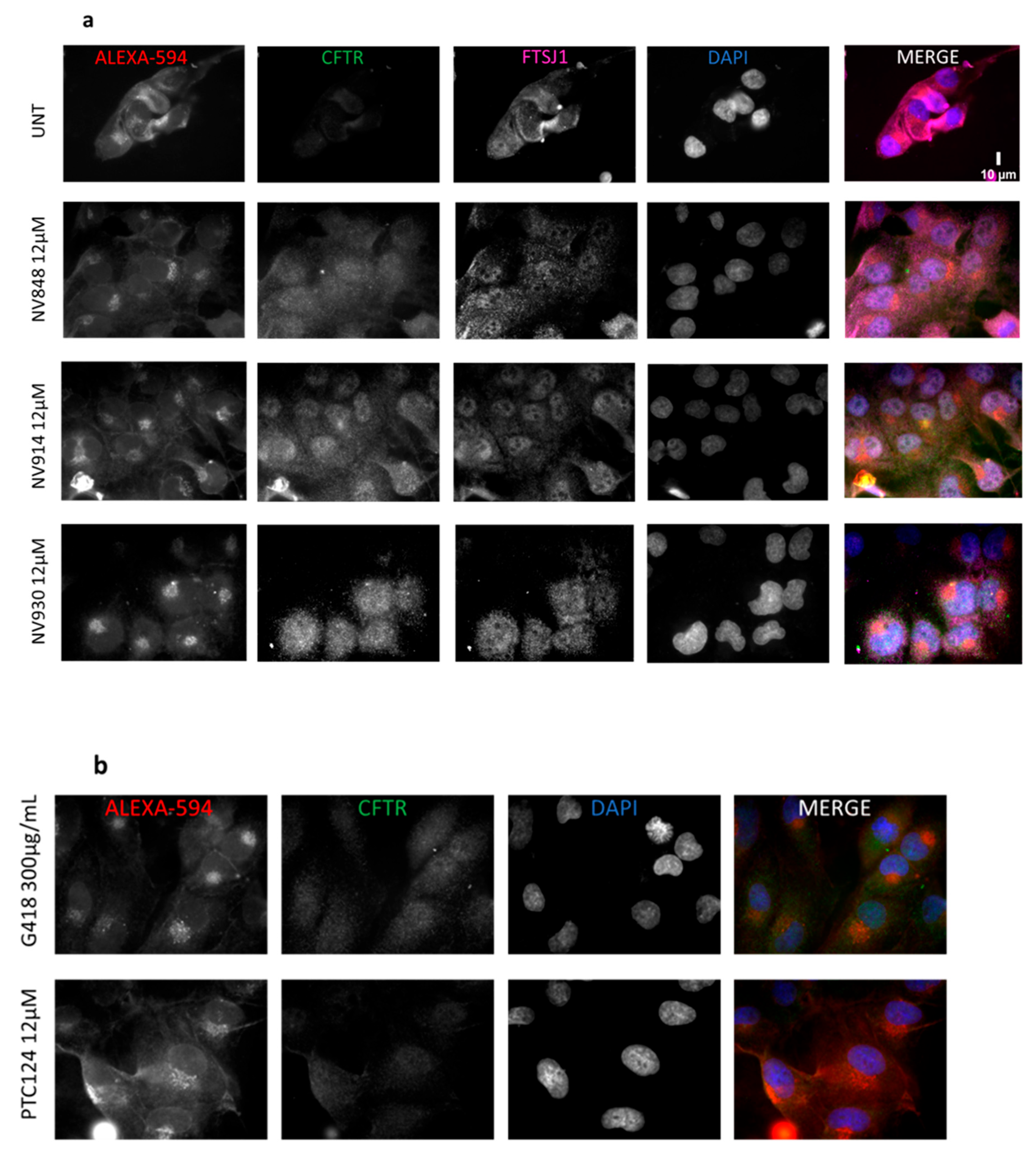 Preprints 71365 g011a