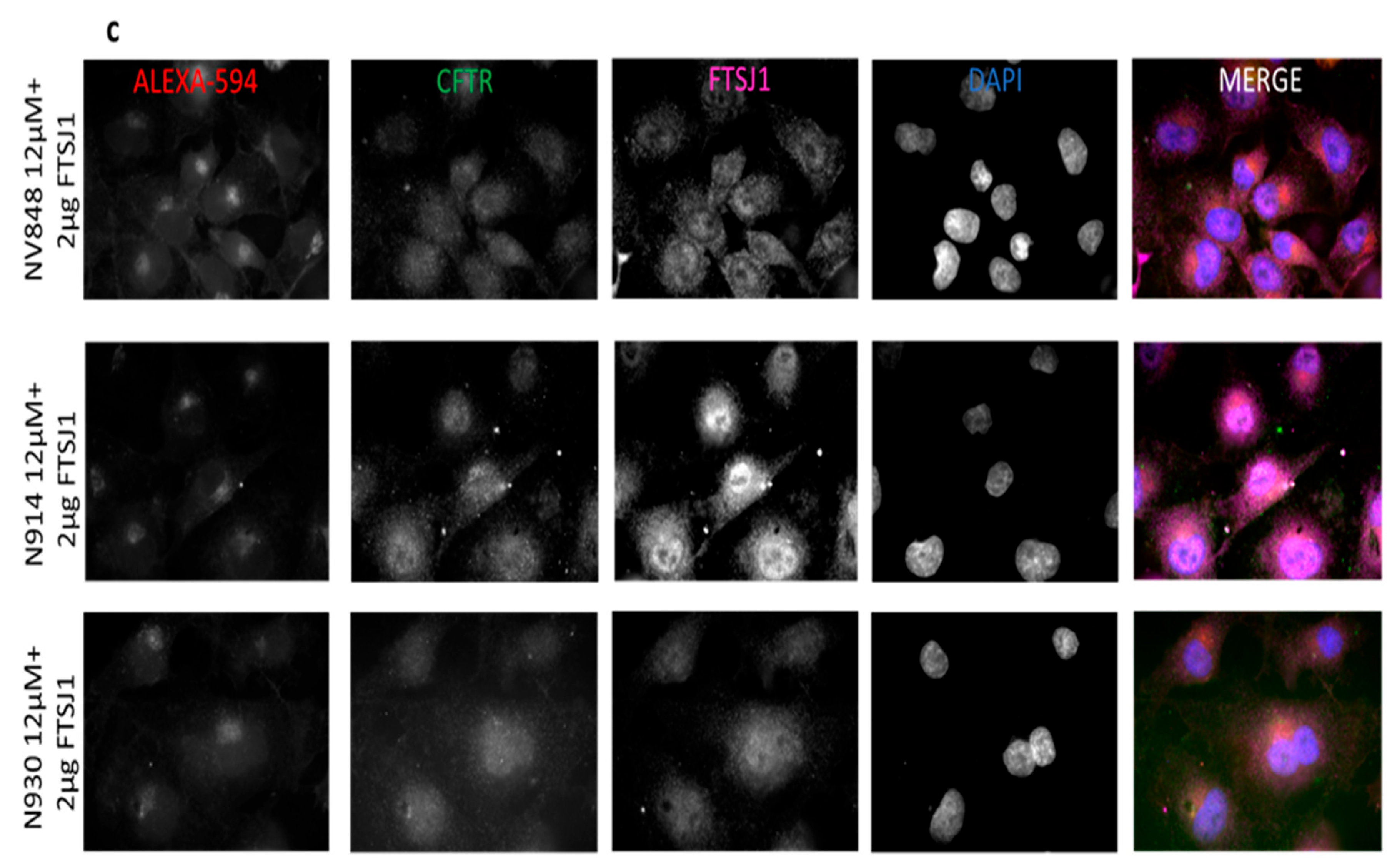 Preprints 71365 g011b