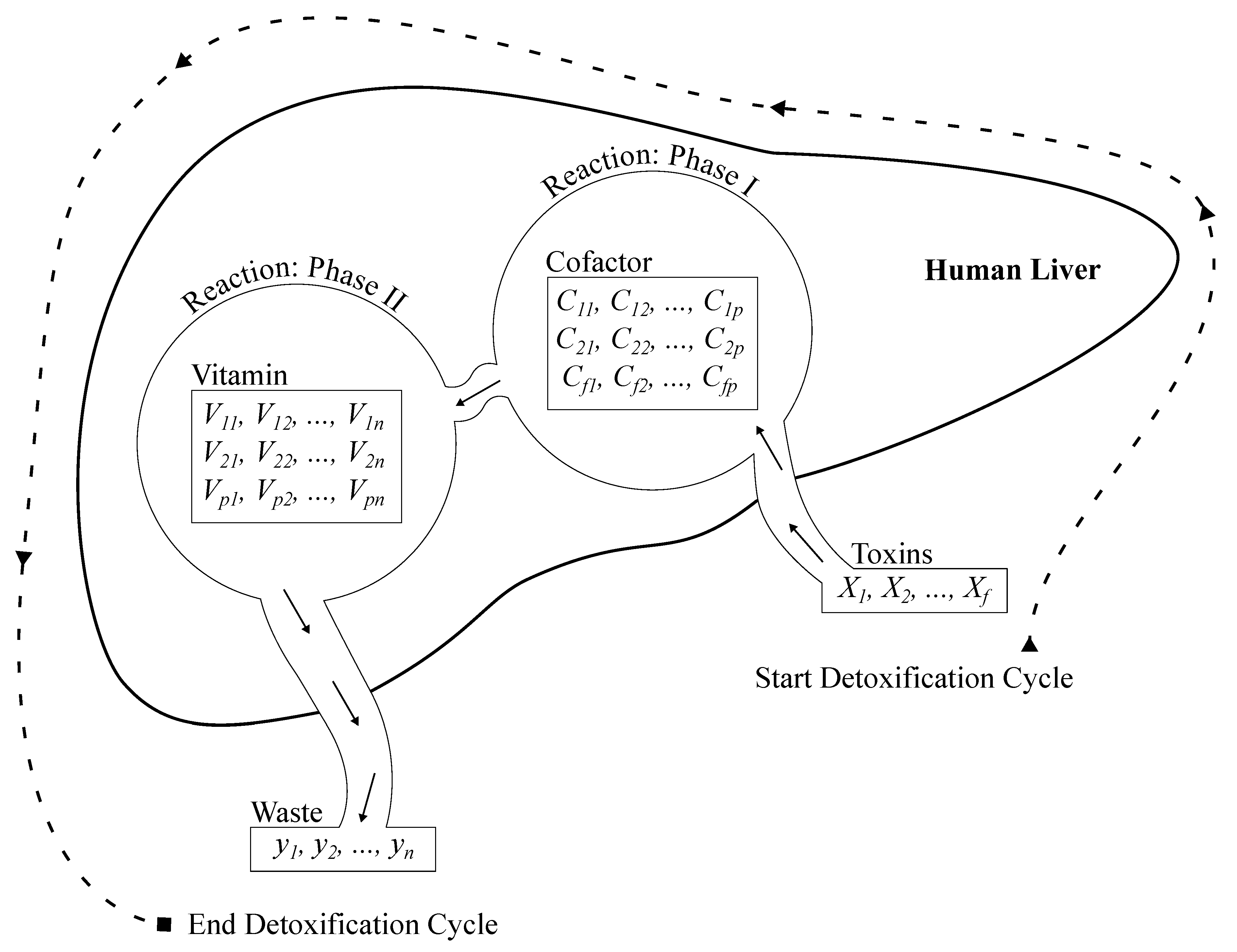 Preprints 145882 g002
