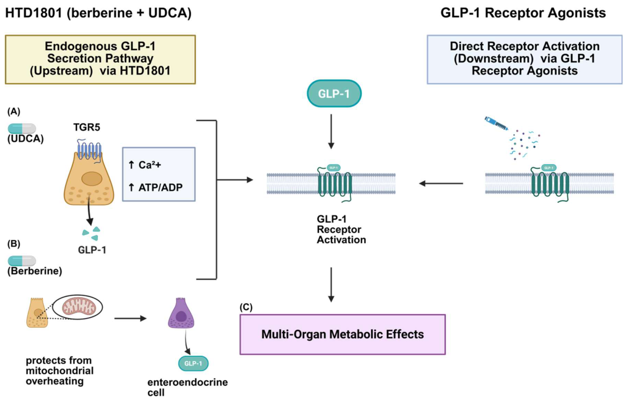 Preprints 232317 g003 Preprints 232317 g003