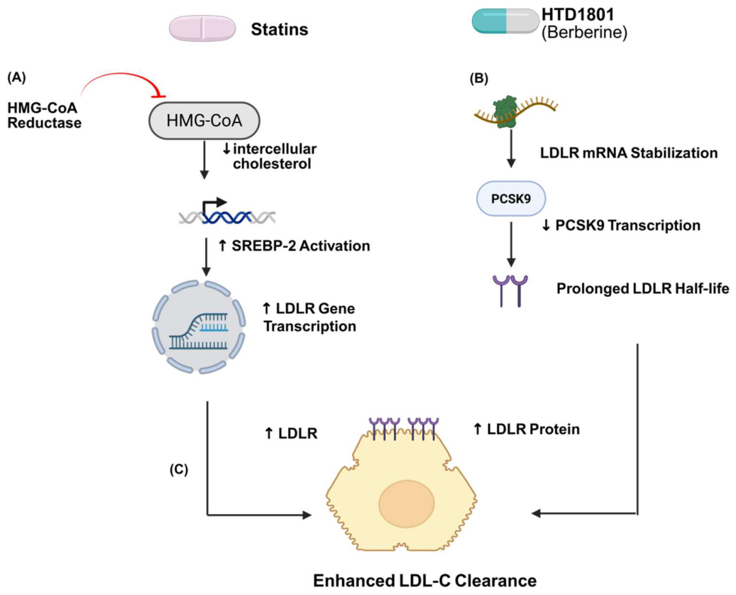 Preprints 232317 g004 Preprints 232317 g004
