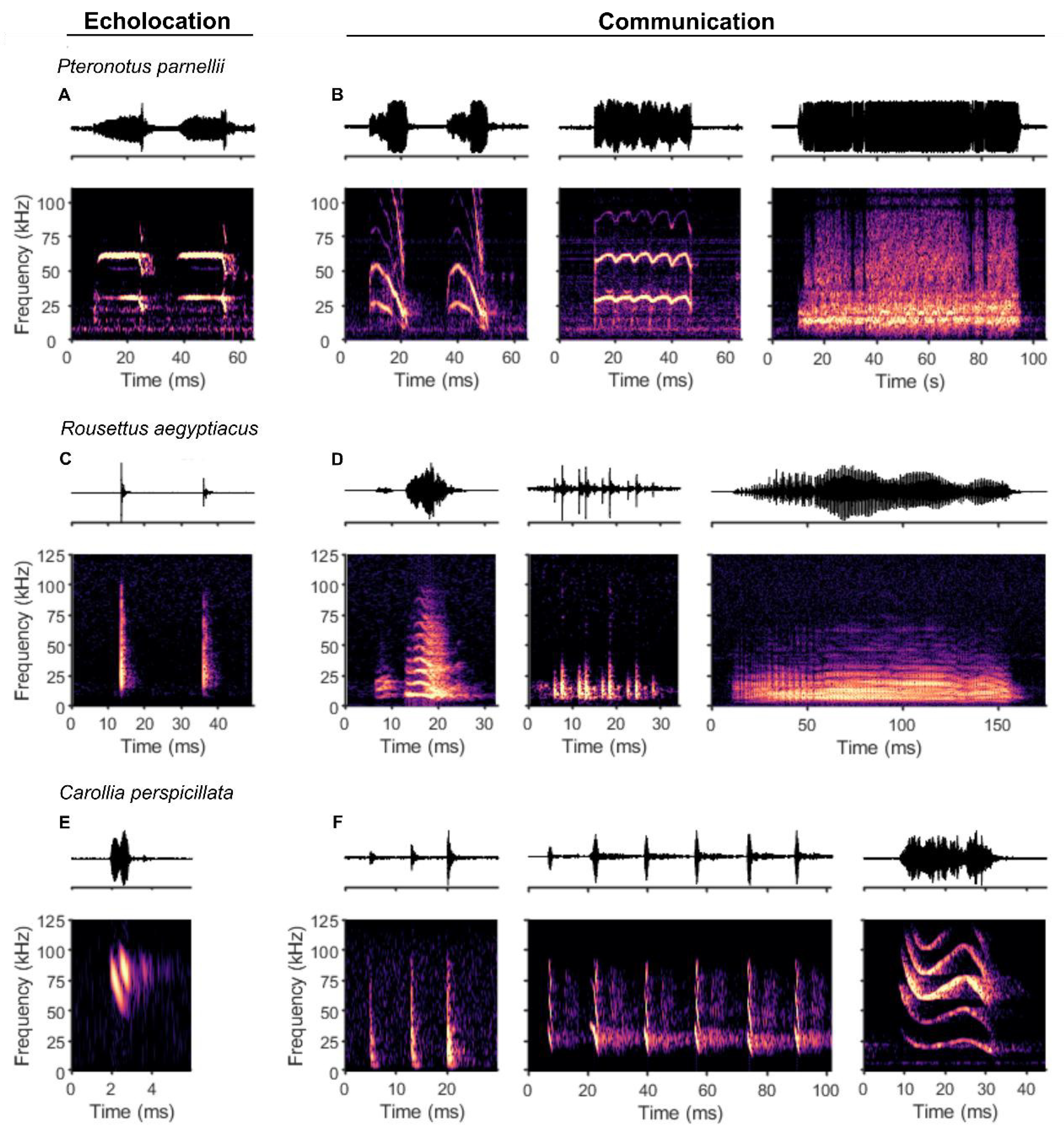 Preprints 154603 g001