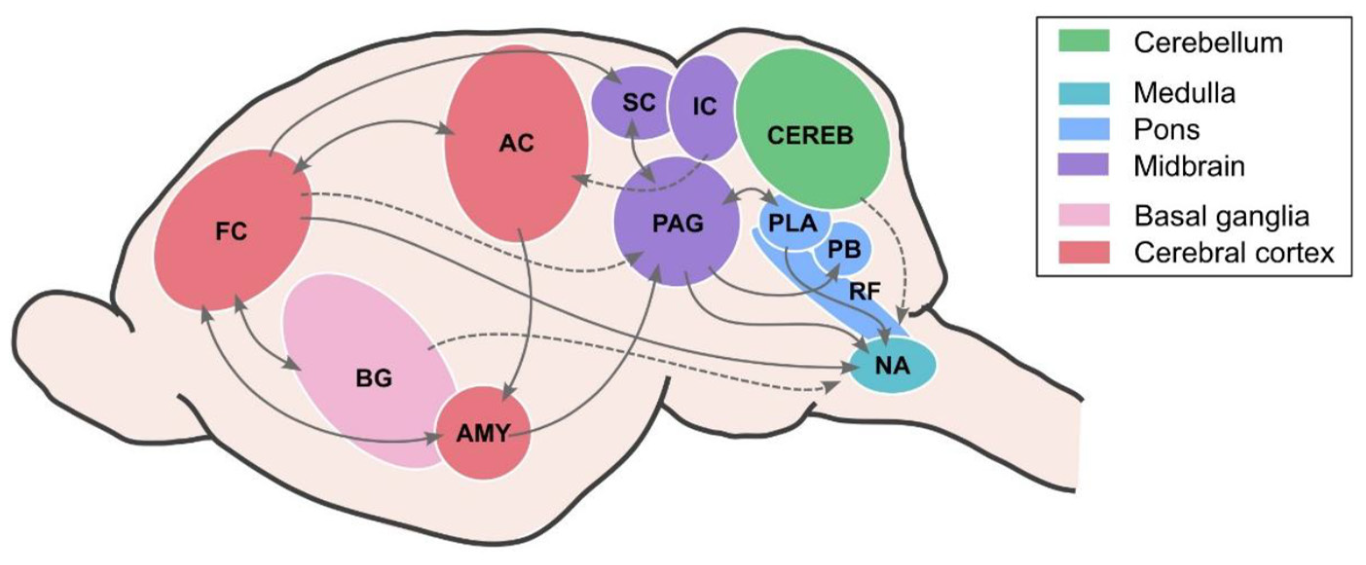 Preprints 154603 g002