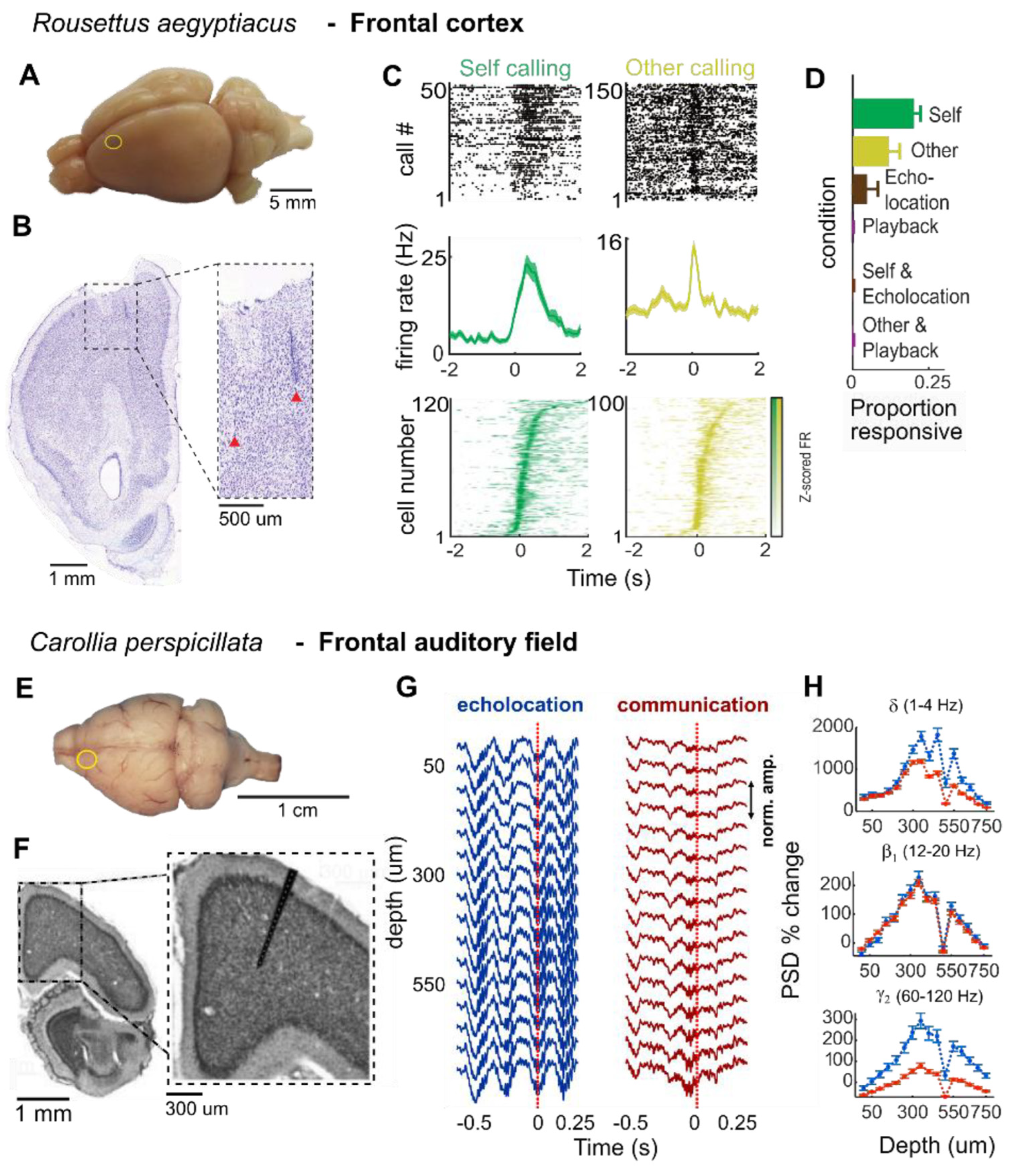 Preprints 154603 g004