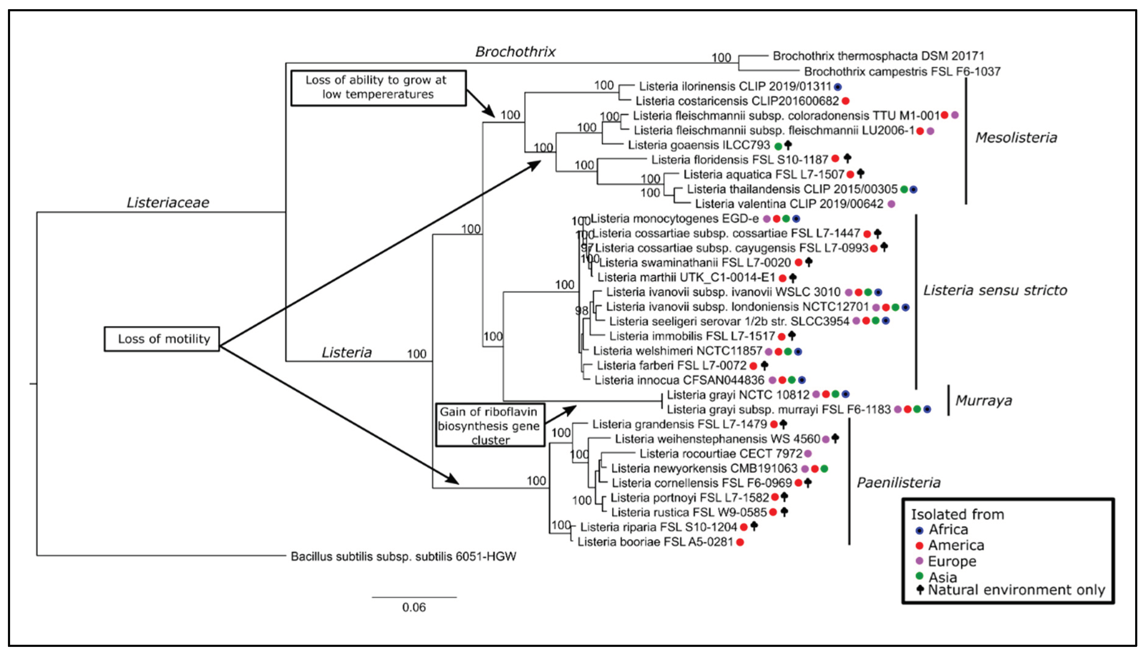 Preprints 175188 g001