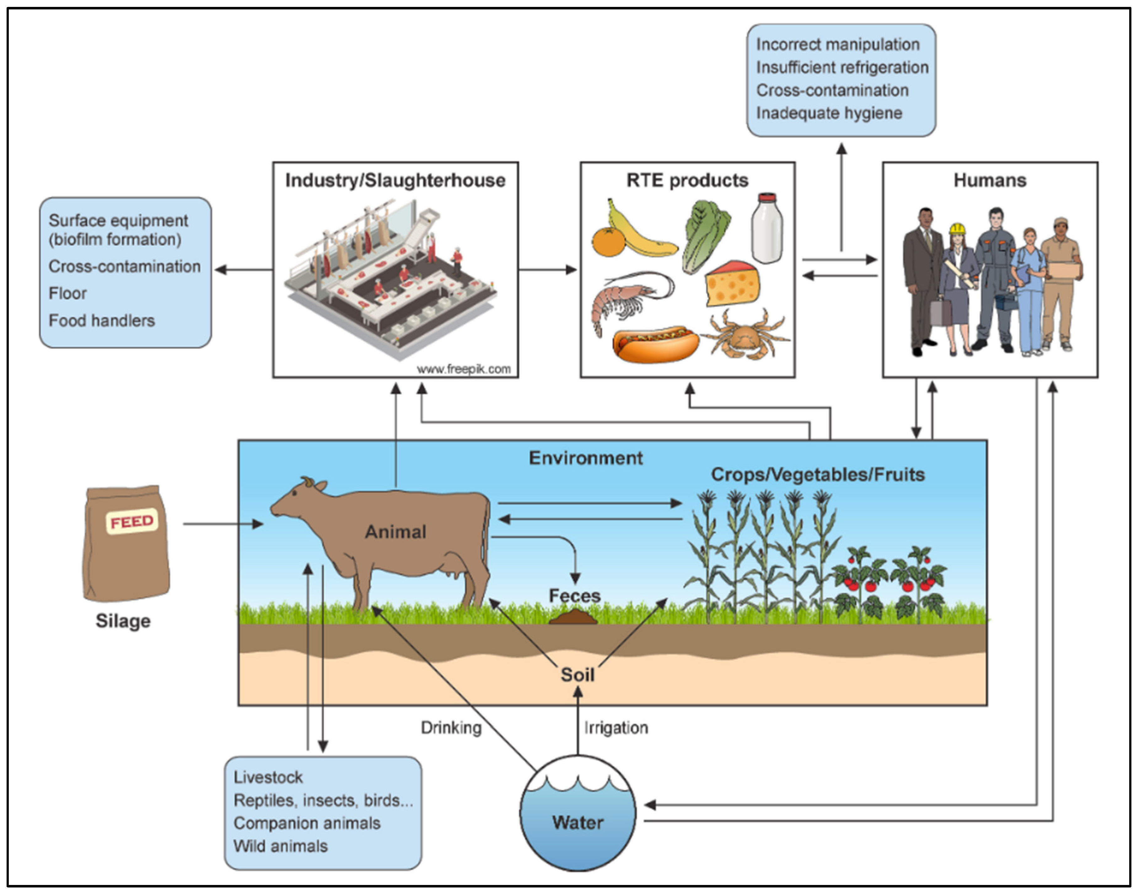 Preprints 175188 g002