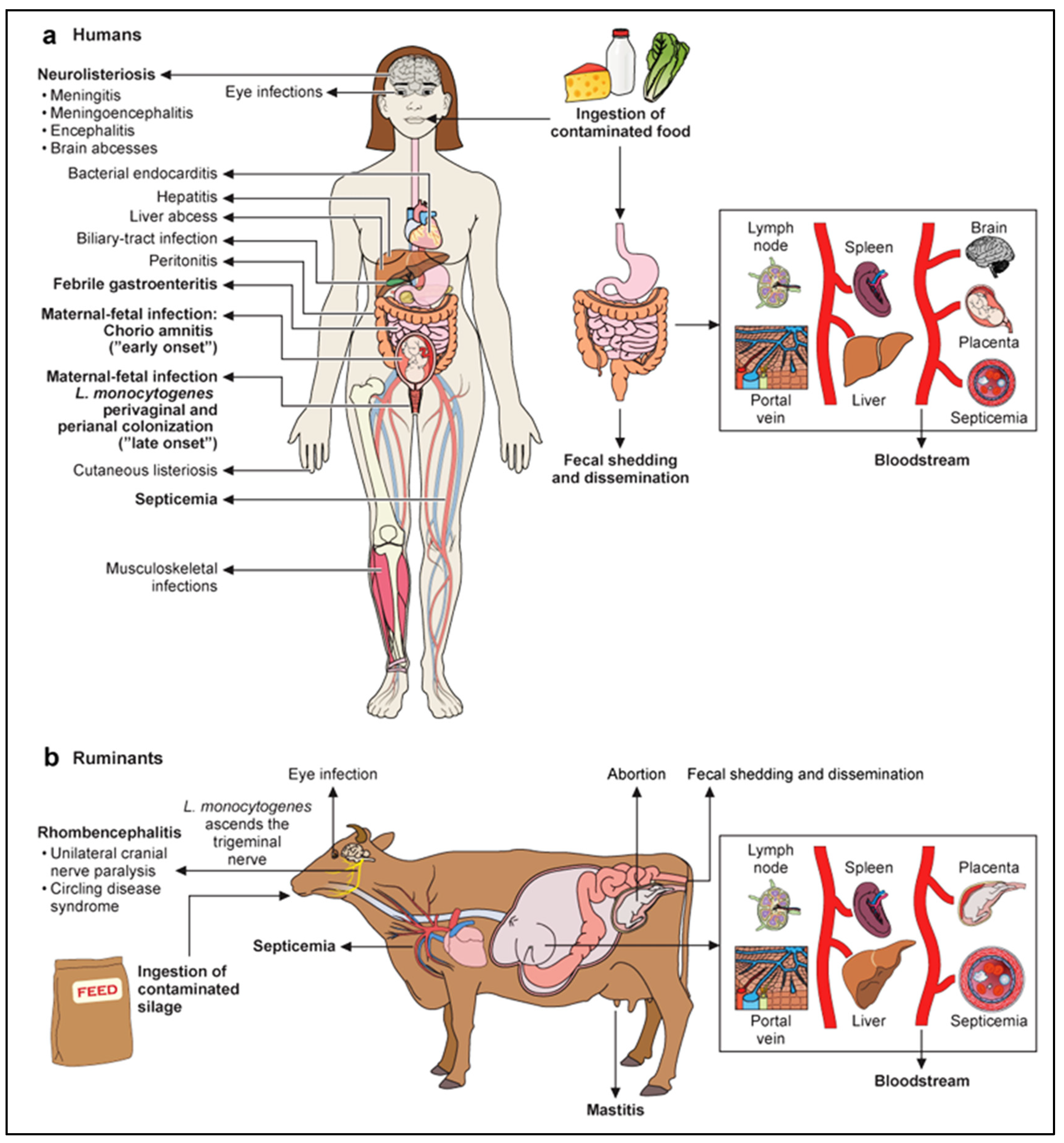 Preprints 175188 g003