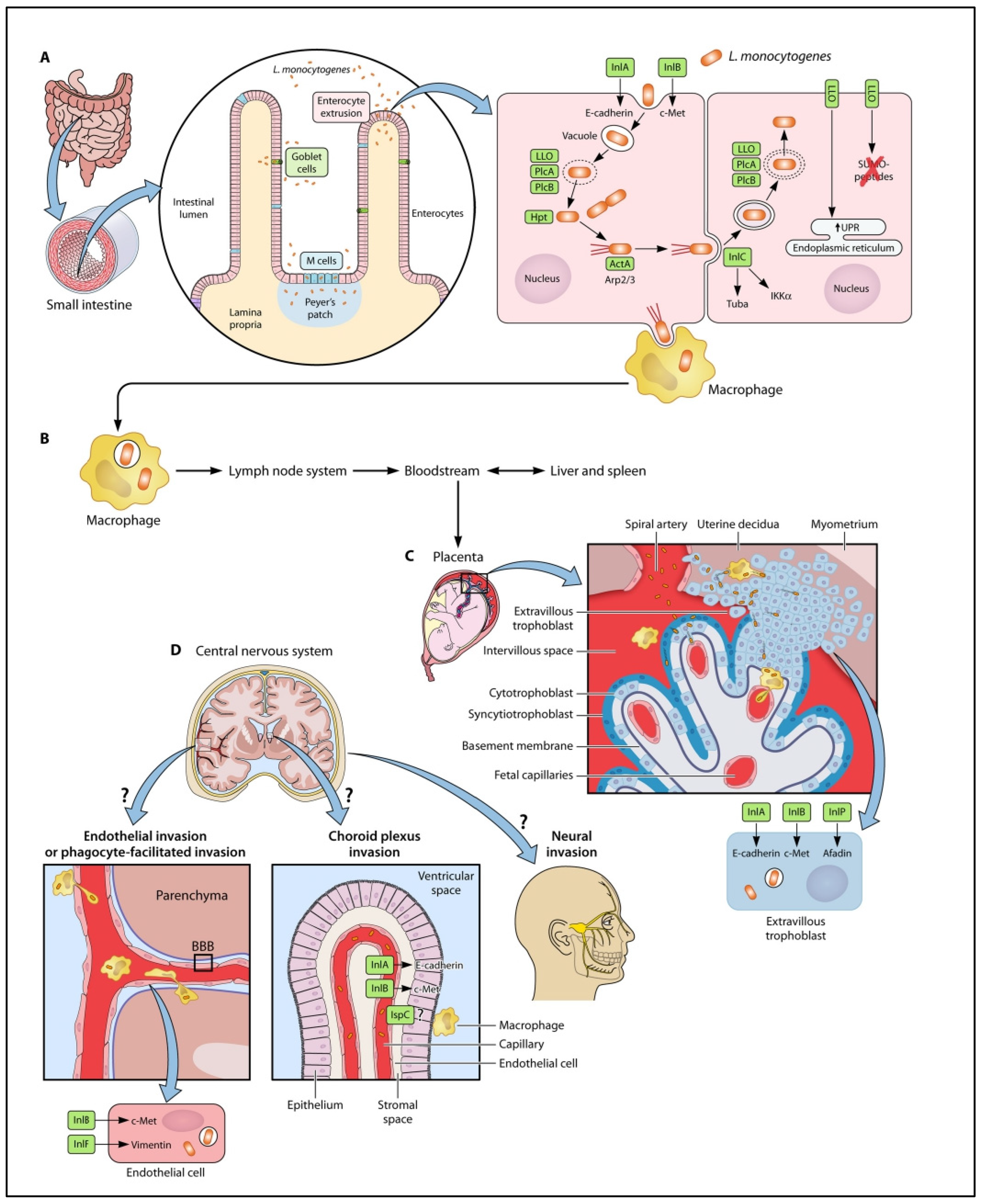 Preprints 175188 g004