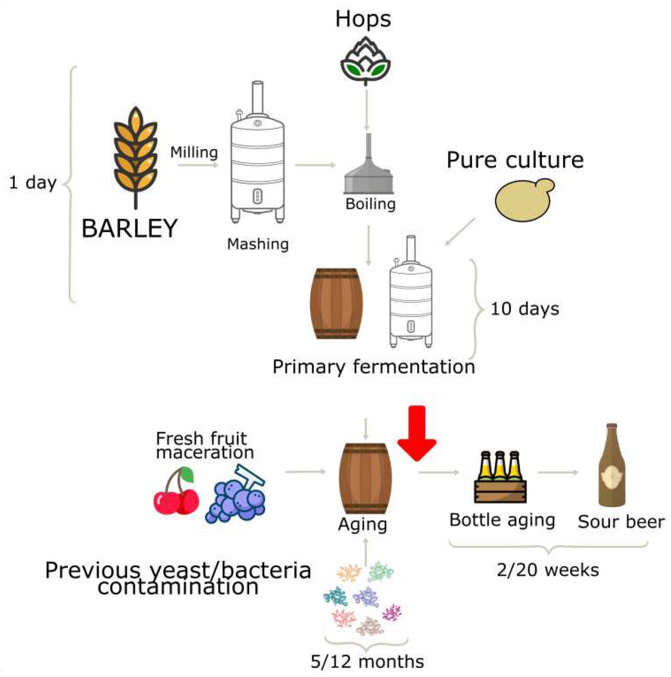 Preprints 79426 g001