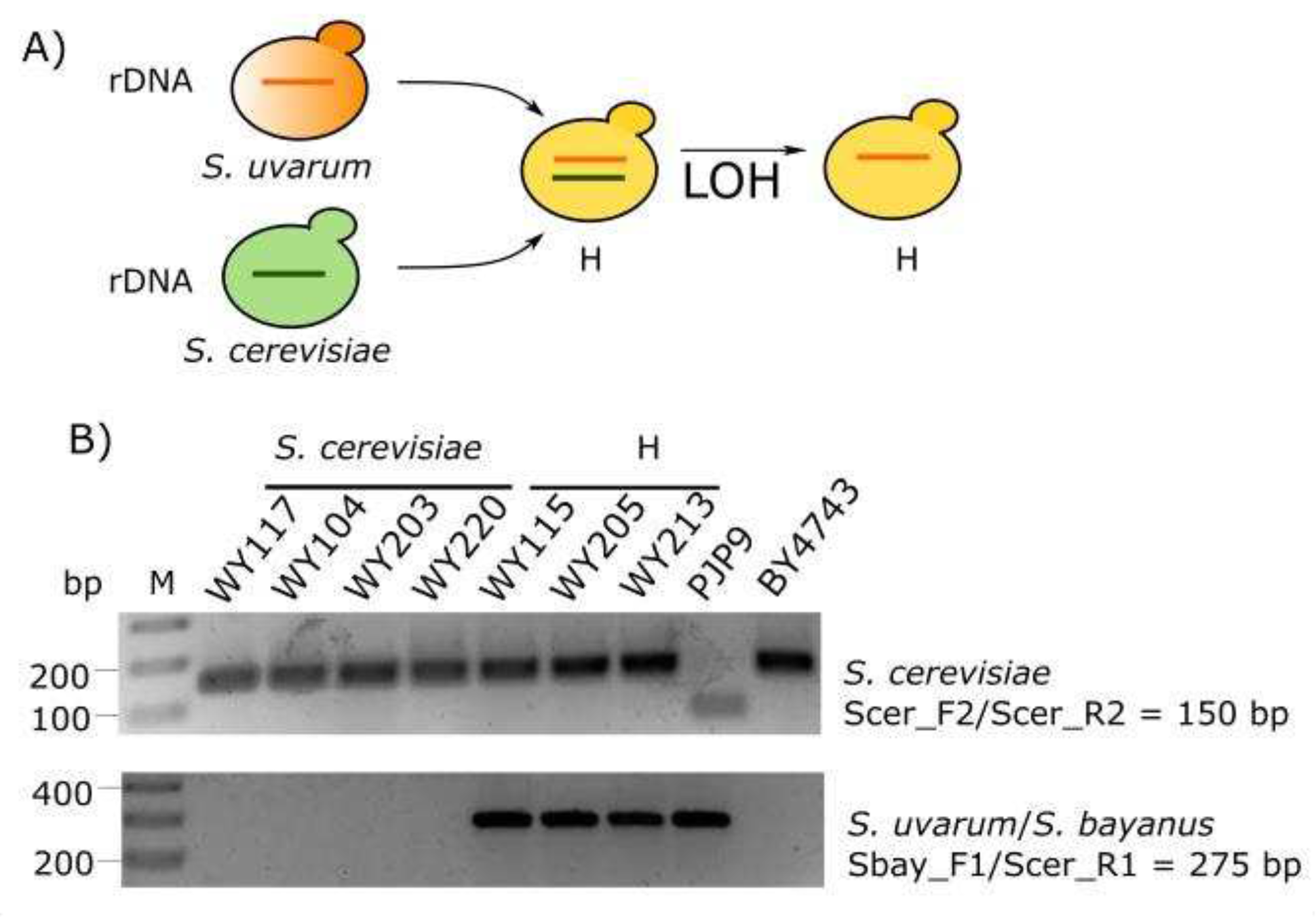 Preprints 79426 g004