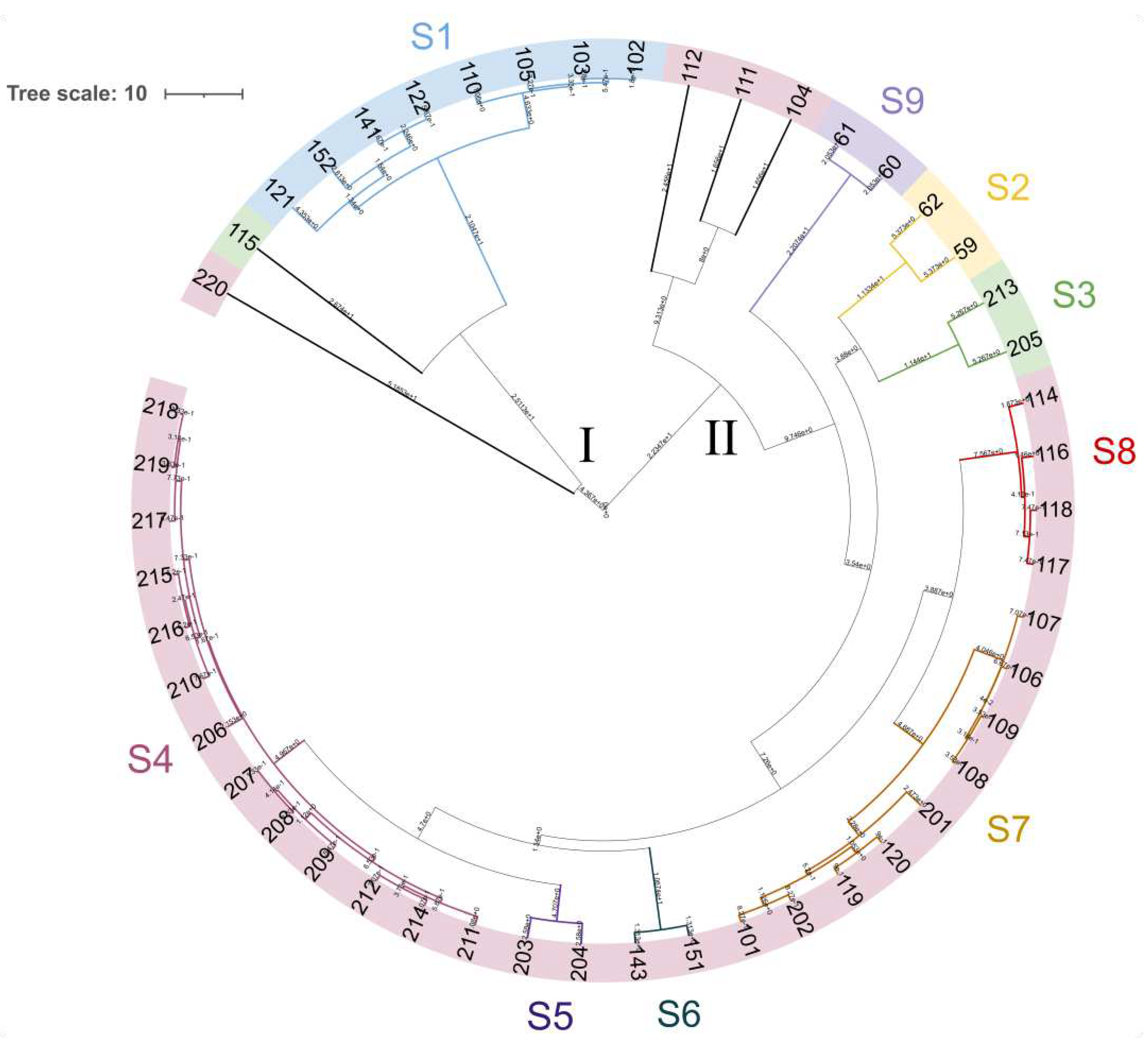Preprints 79426 g005