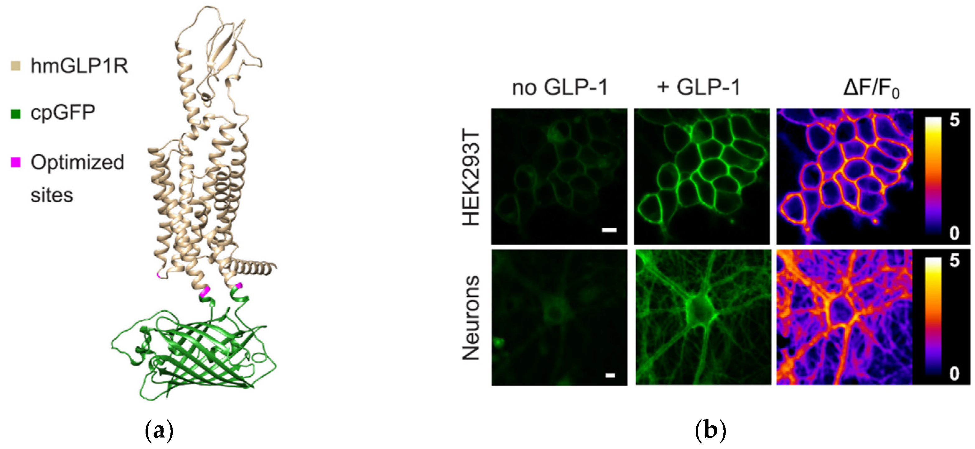 Preprints 154753 g002