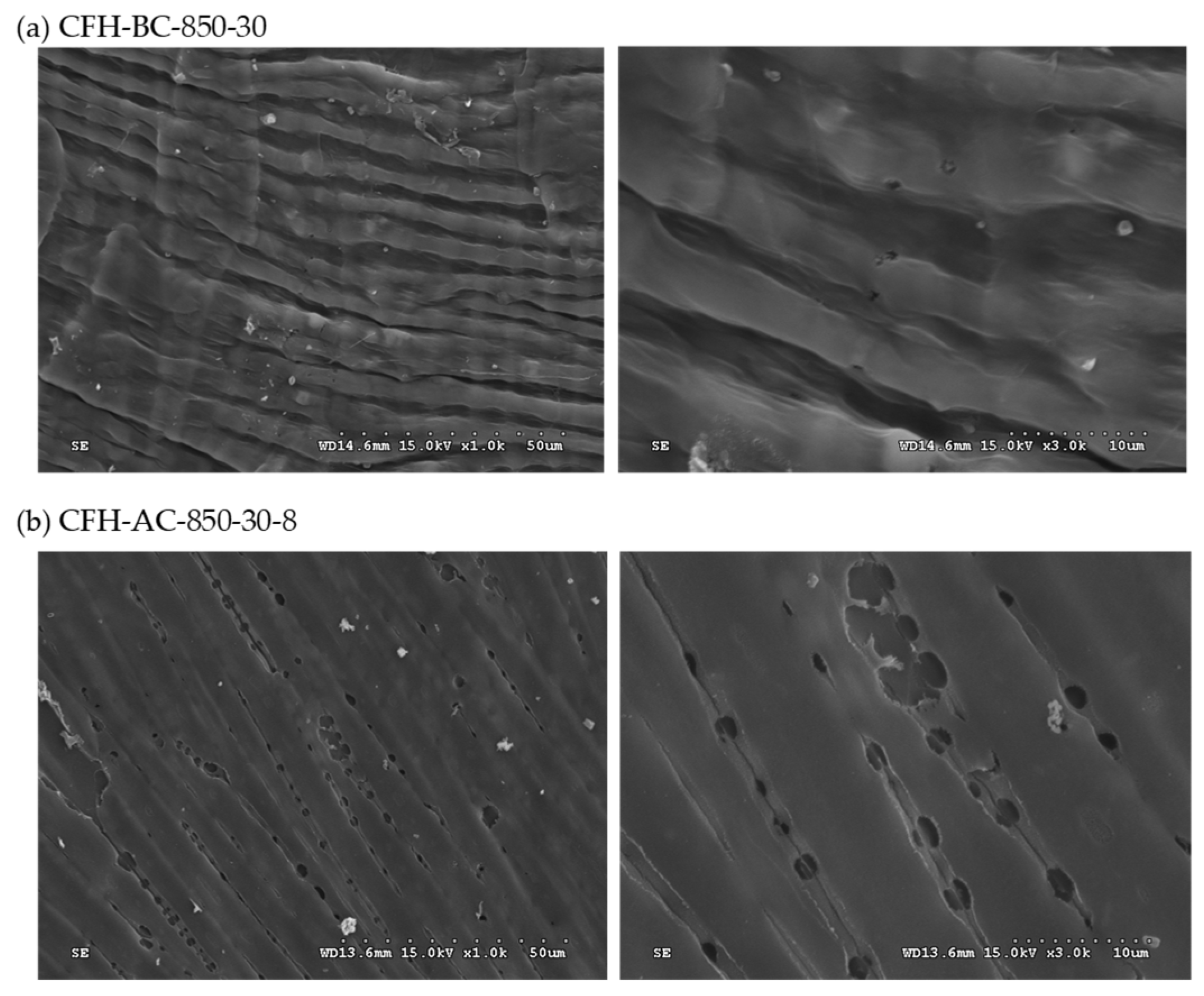 Preprints 166041 g003