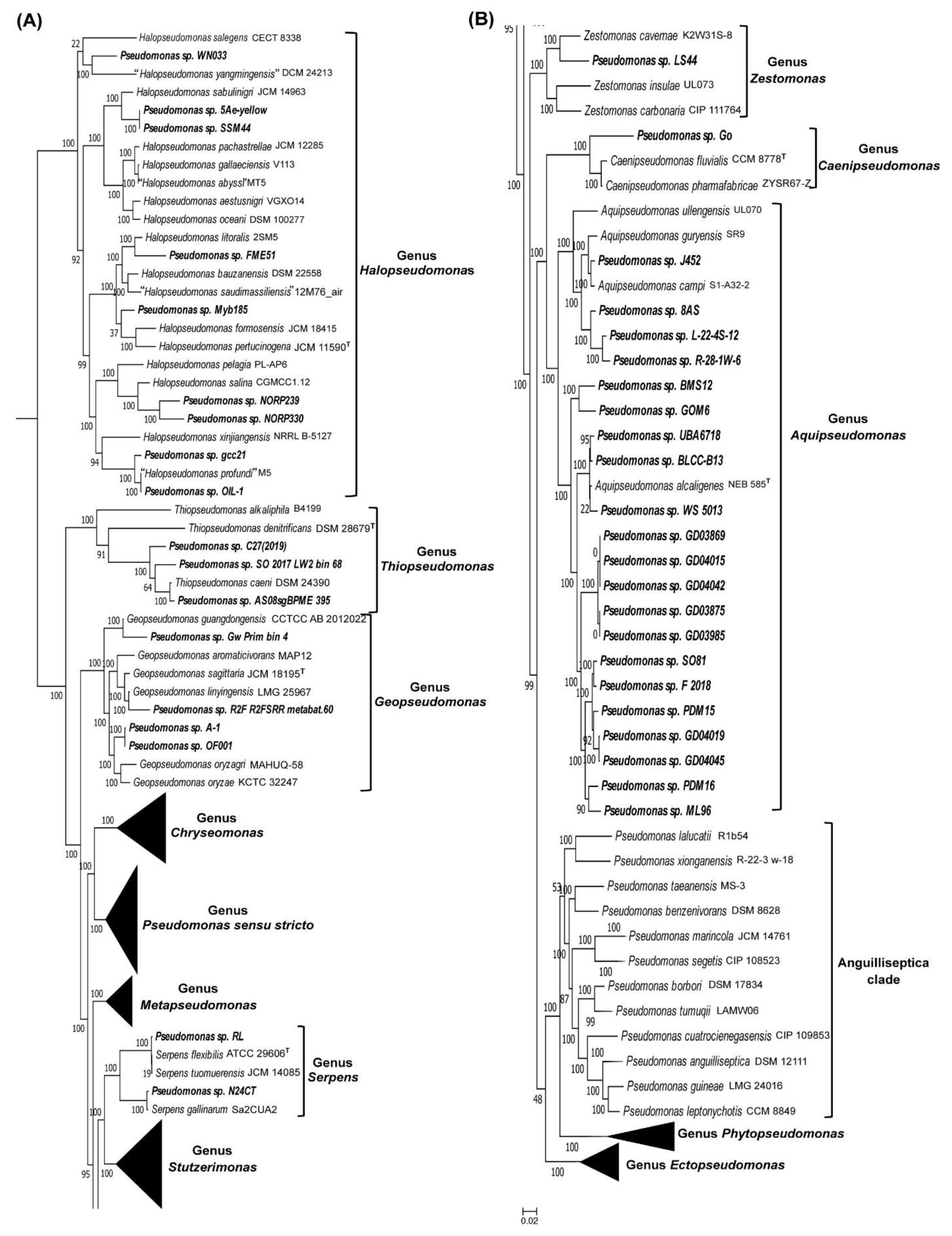Preprints 144796 g003