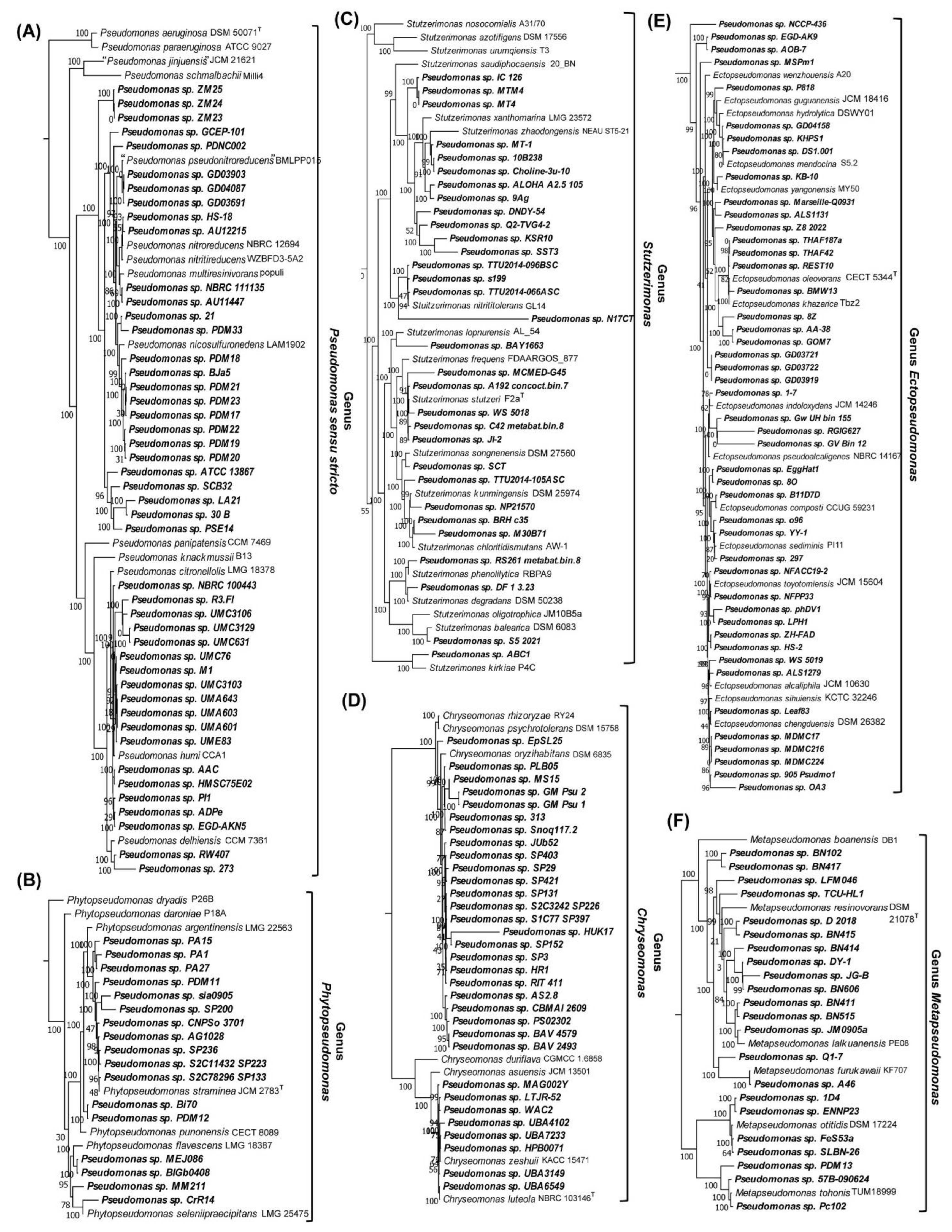 Preprints 144796 g004