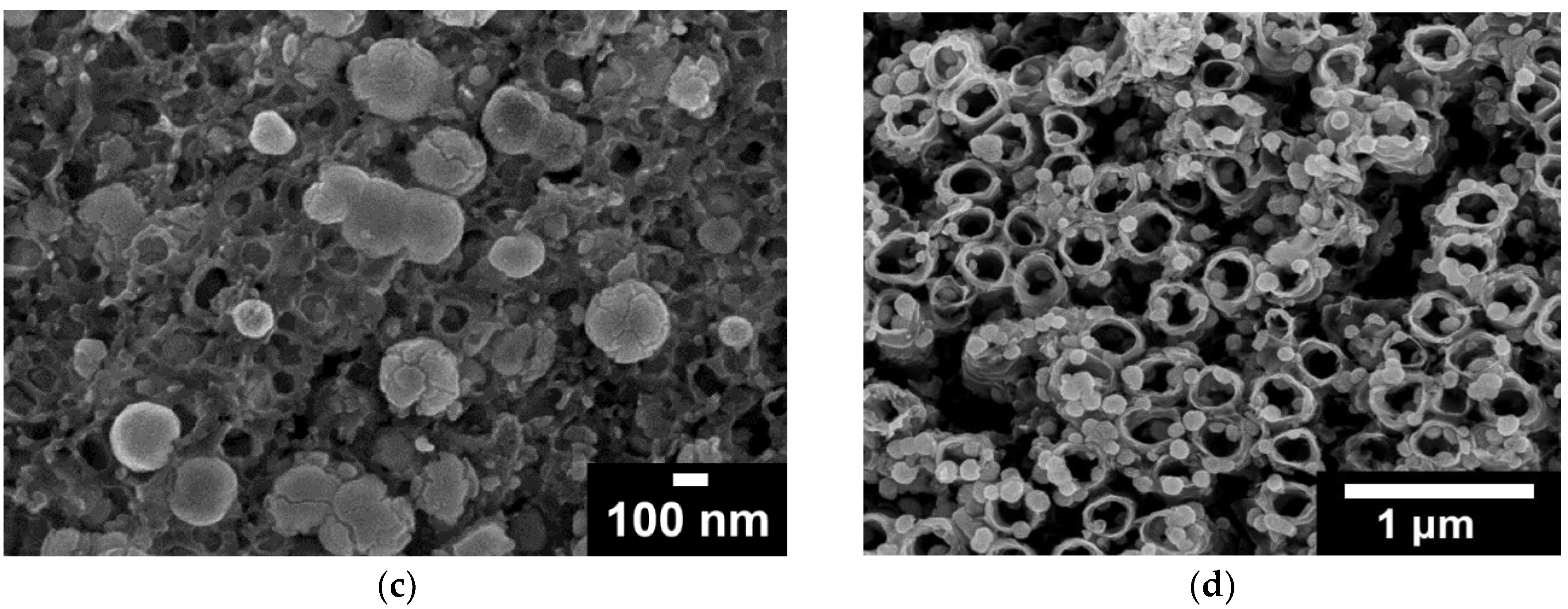 Preprints 157960 g001b