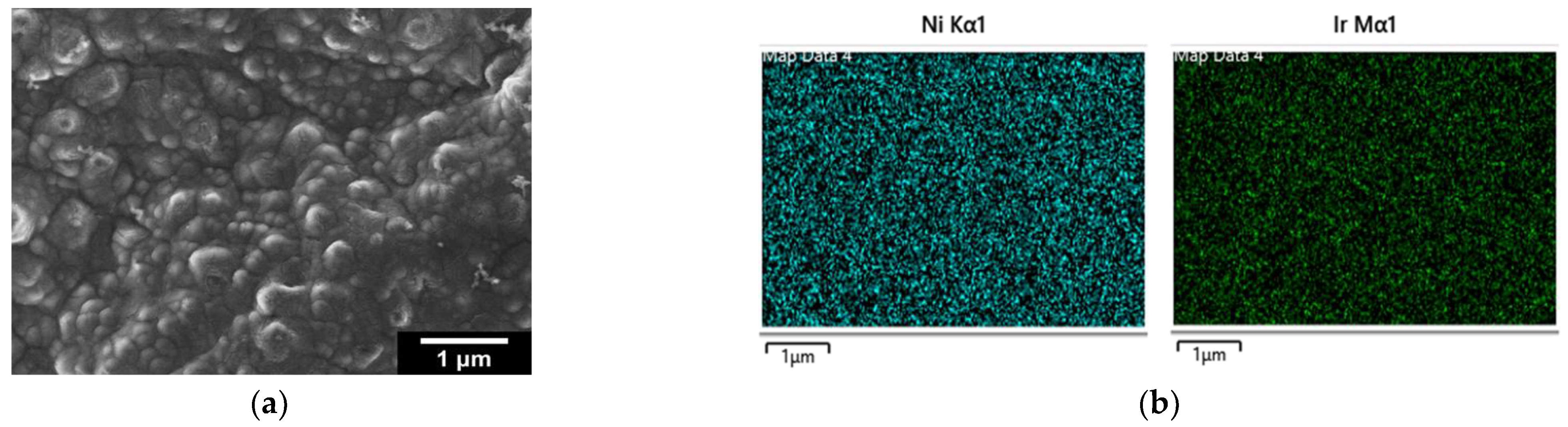 Preprints 157960 g002