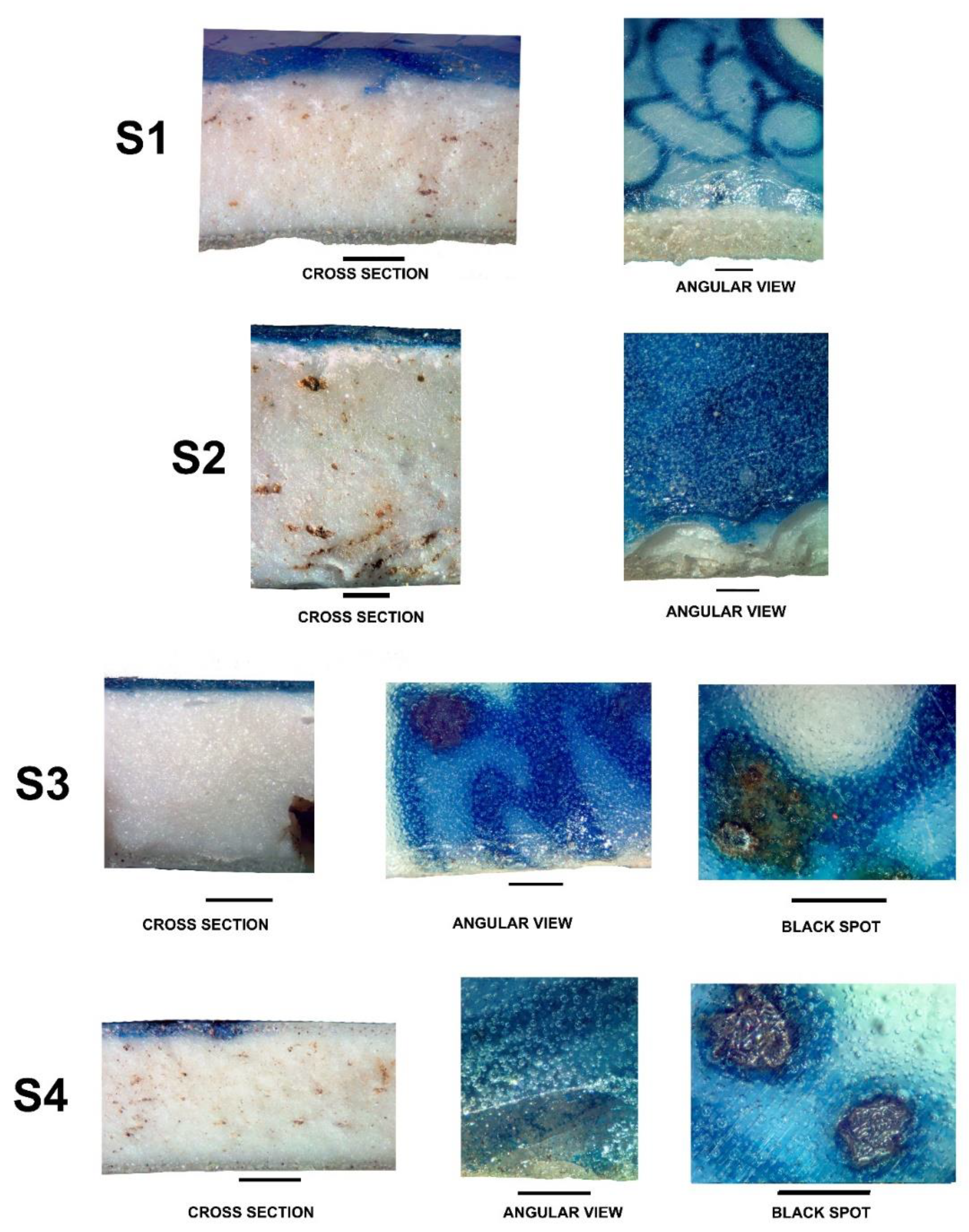 Preprints 161592 g006a