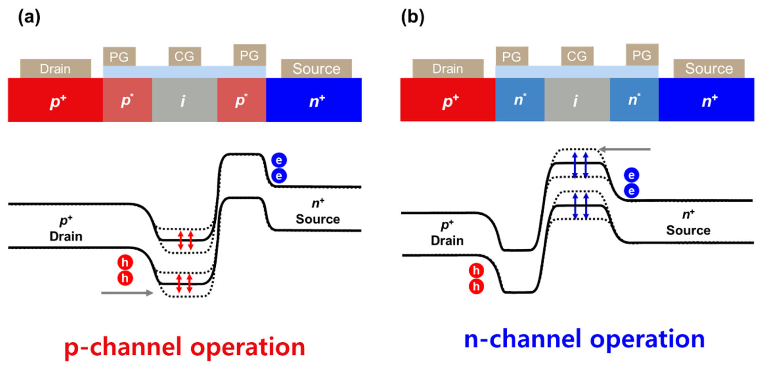 Preprints 186036 g002