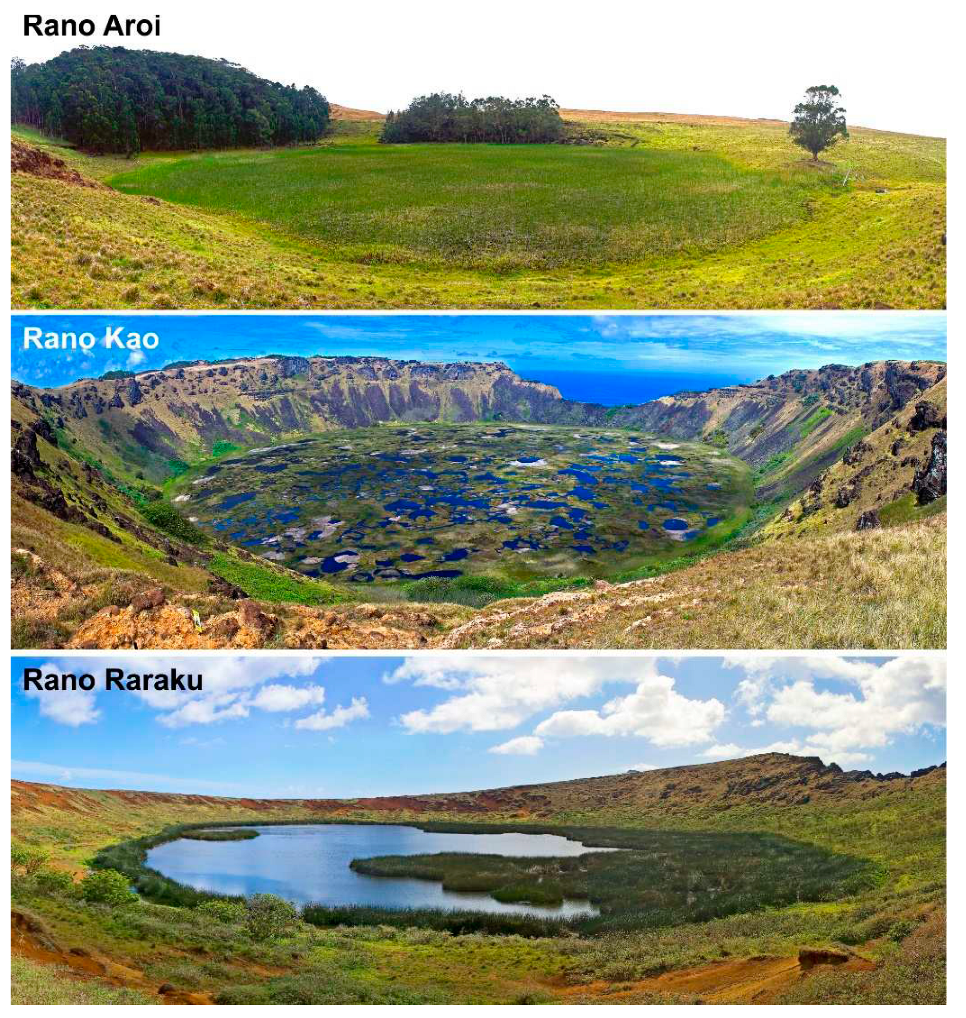 Preprints 72163 g003