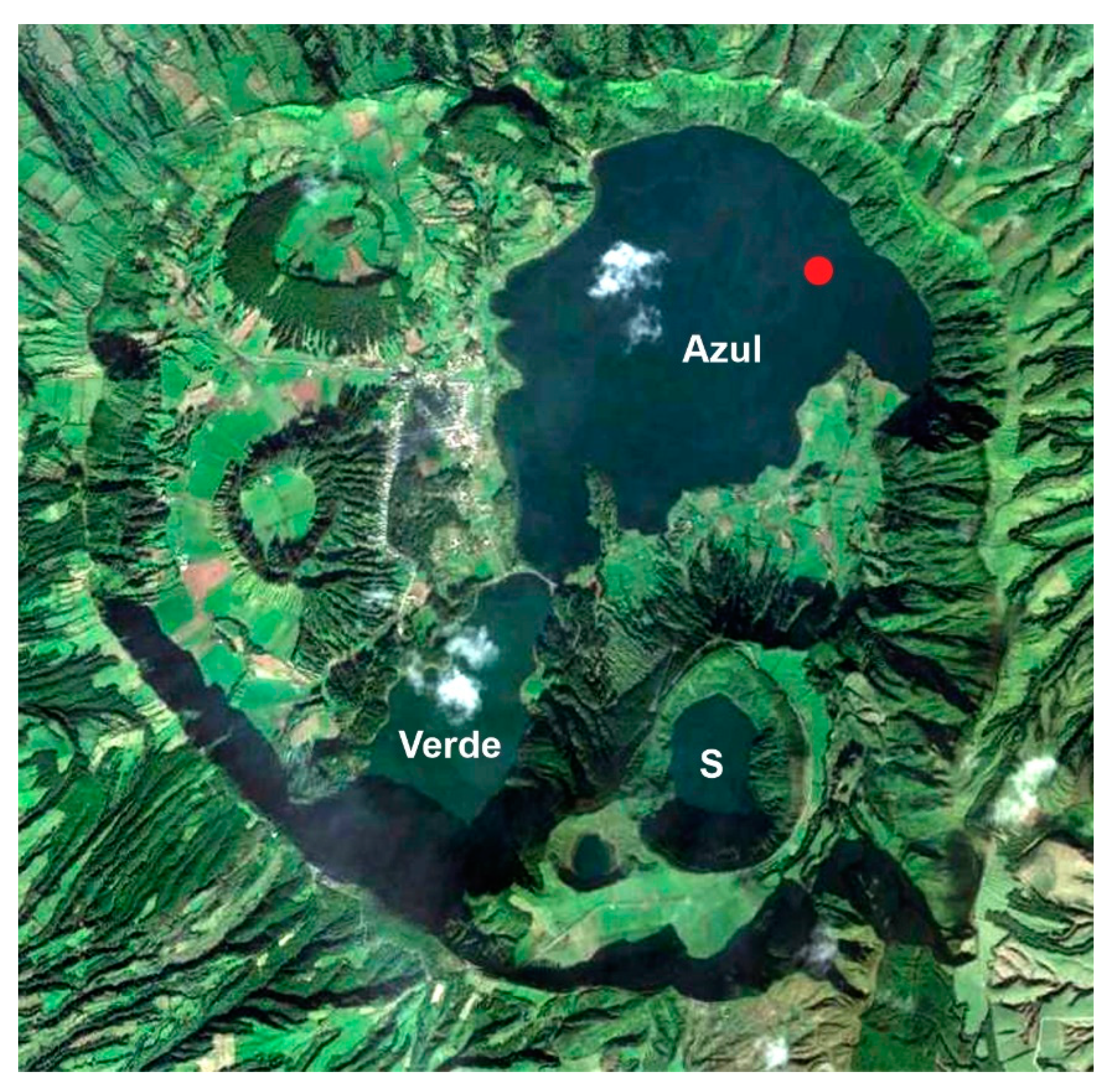 Preprints 72163 g004