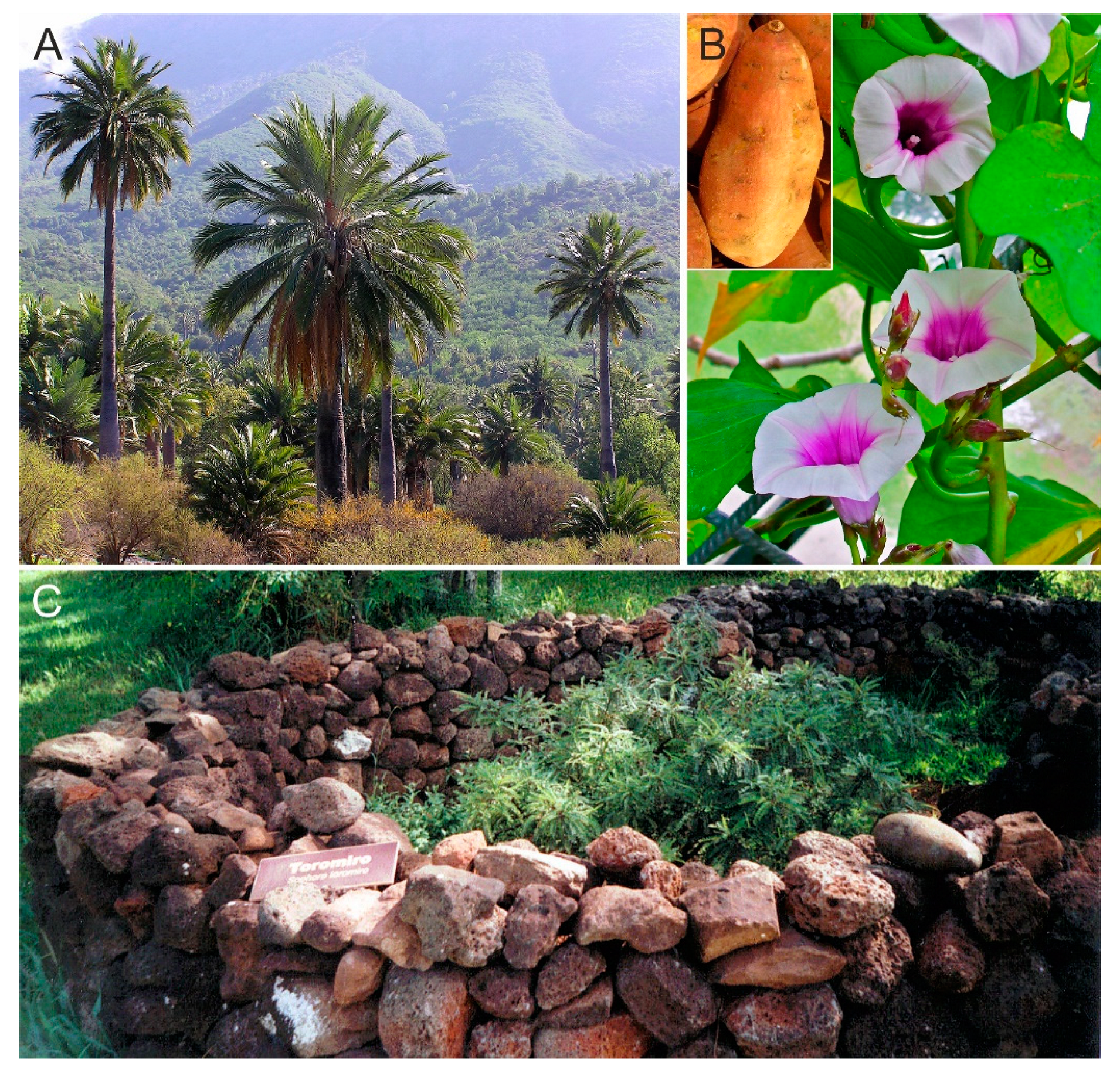 Preprints 72163 g009