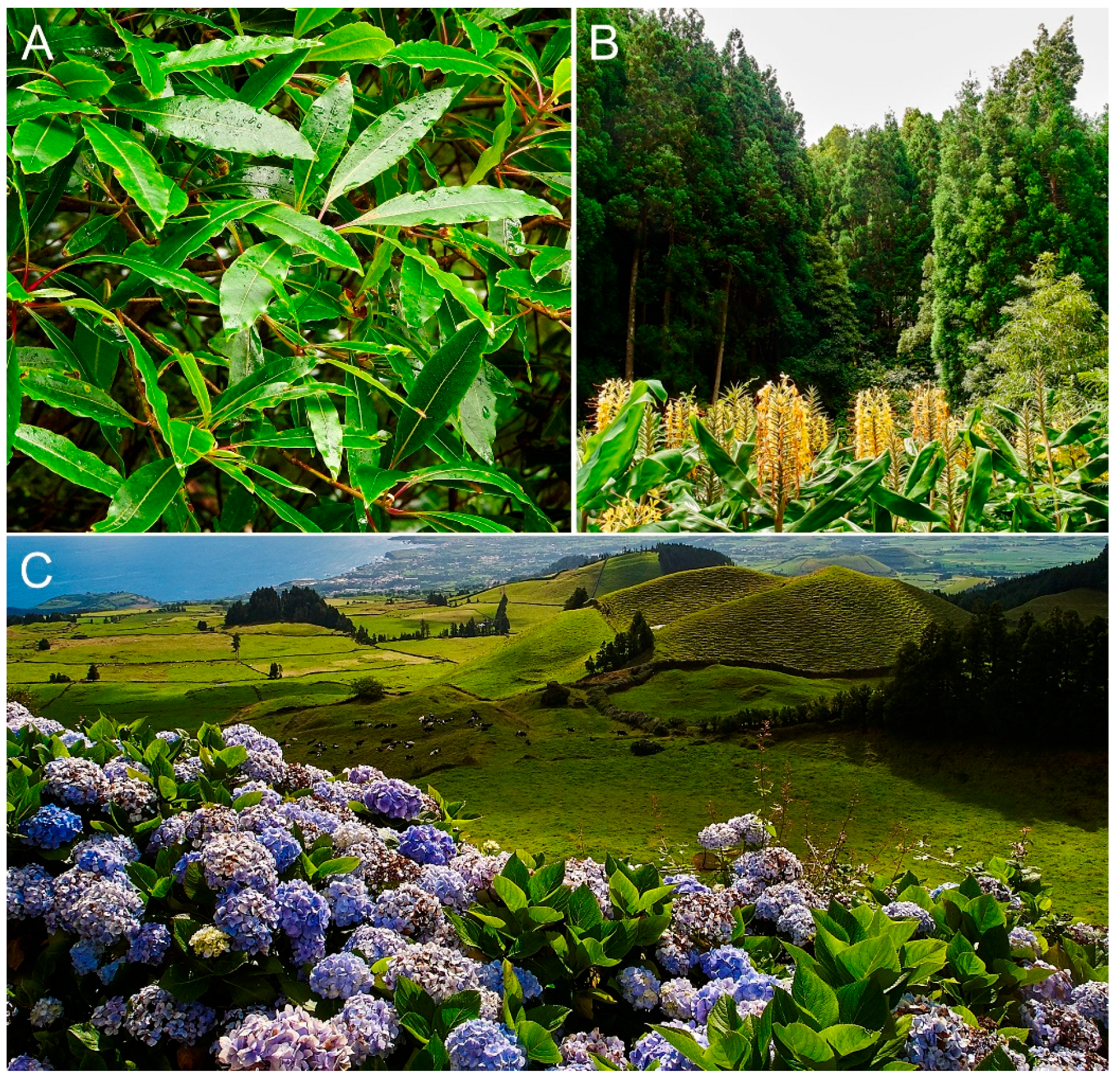 Preprints 72163 g012