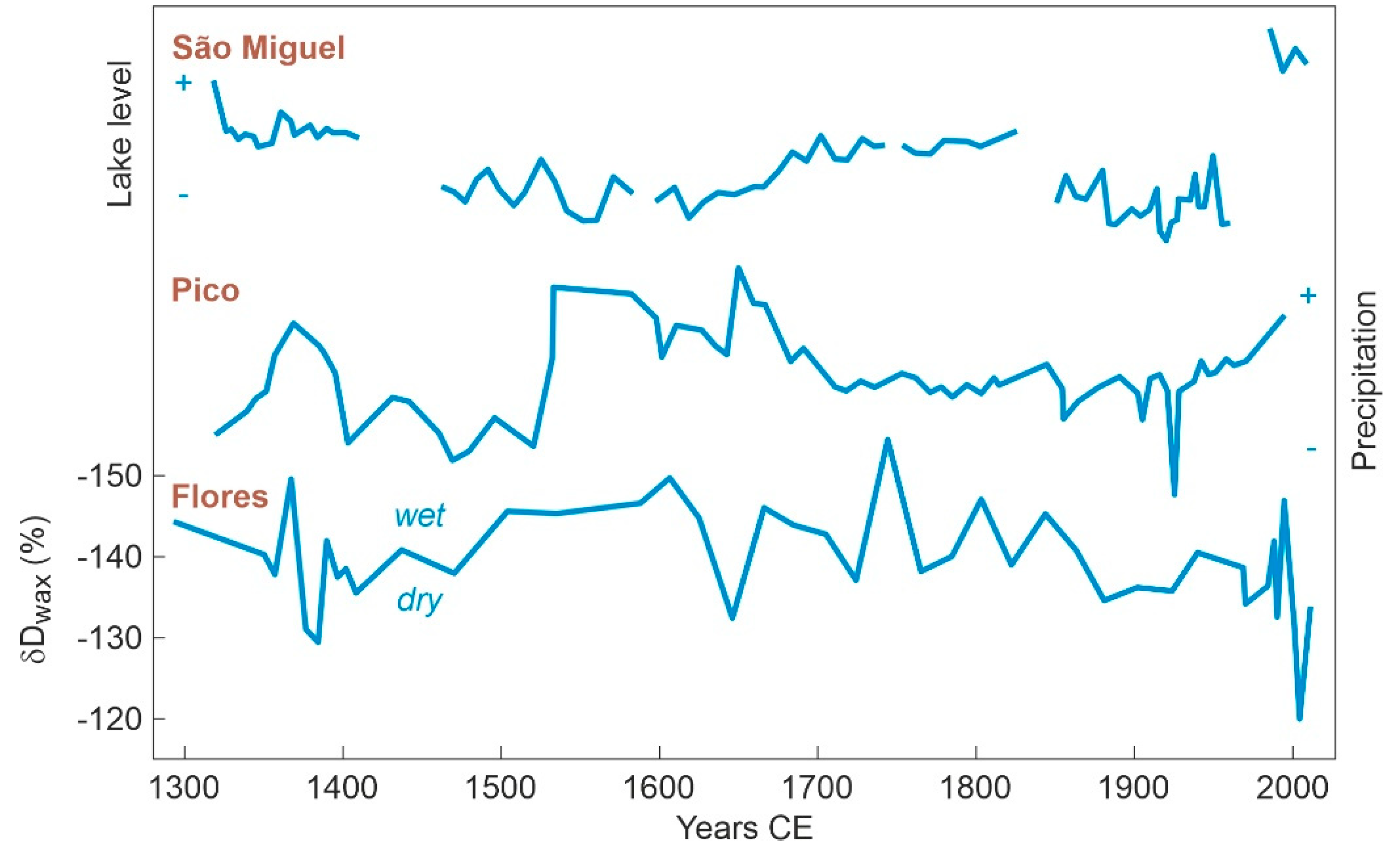 Preprints 72163 g015