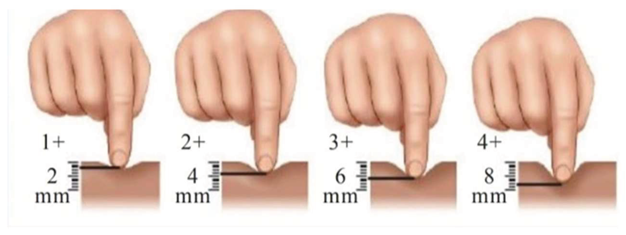 Preprints 187768 g001