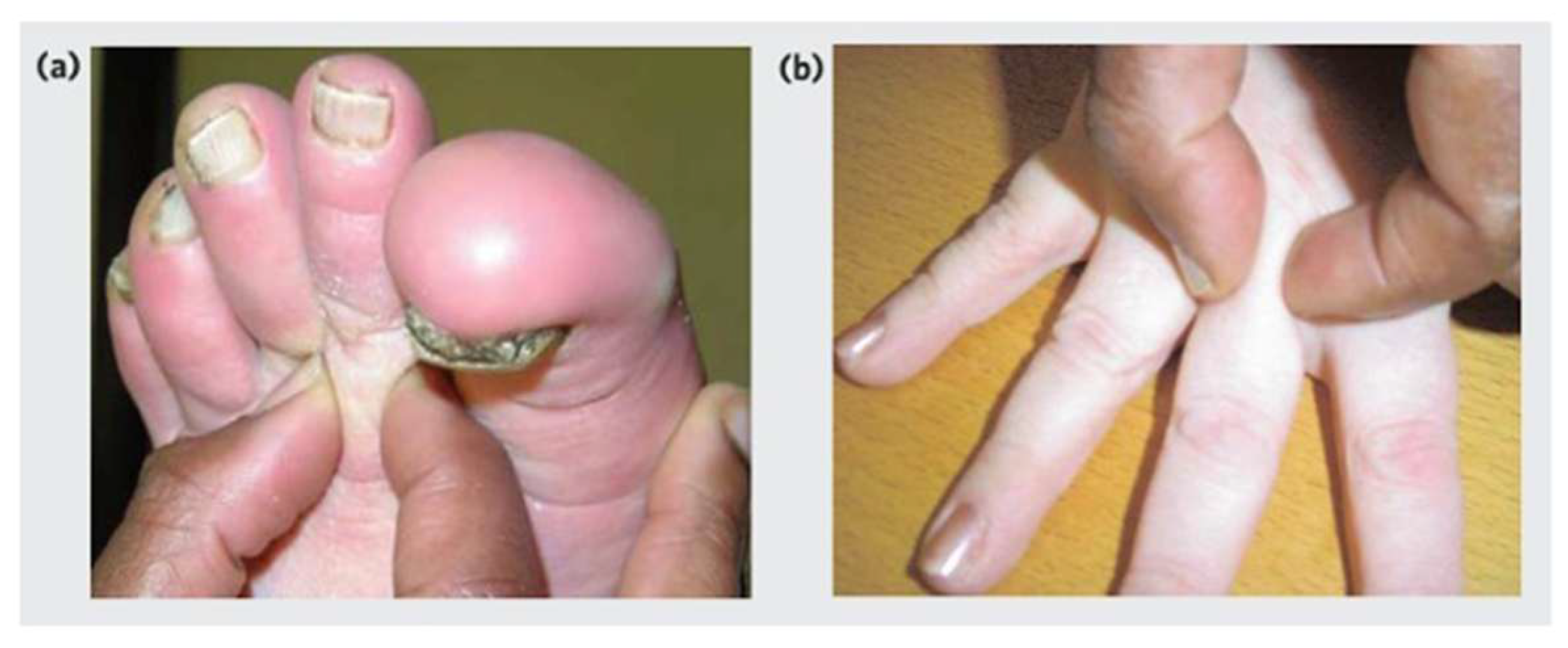 Preprints 187768 g002