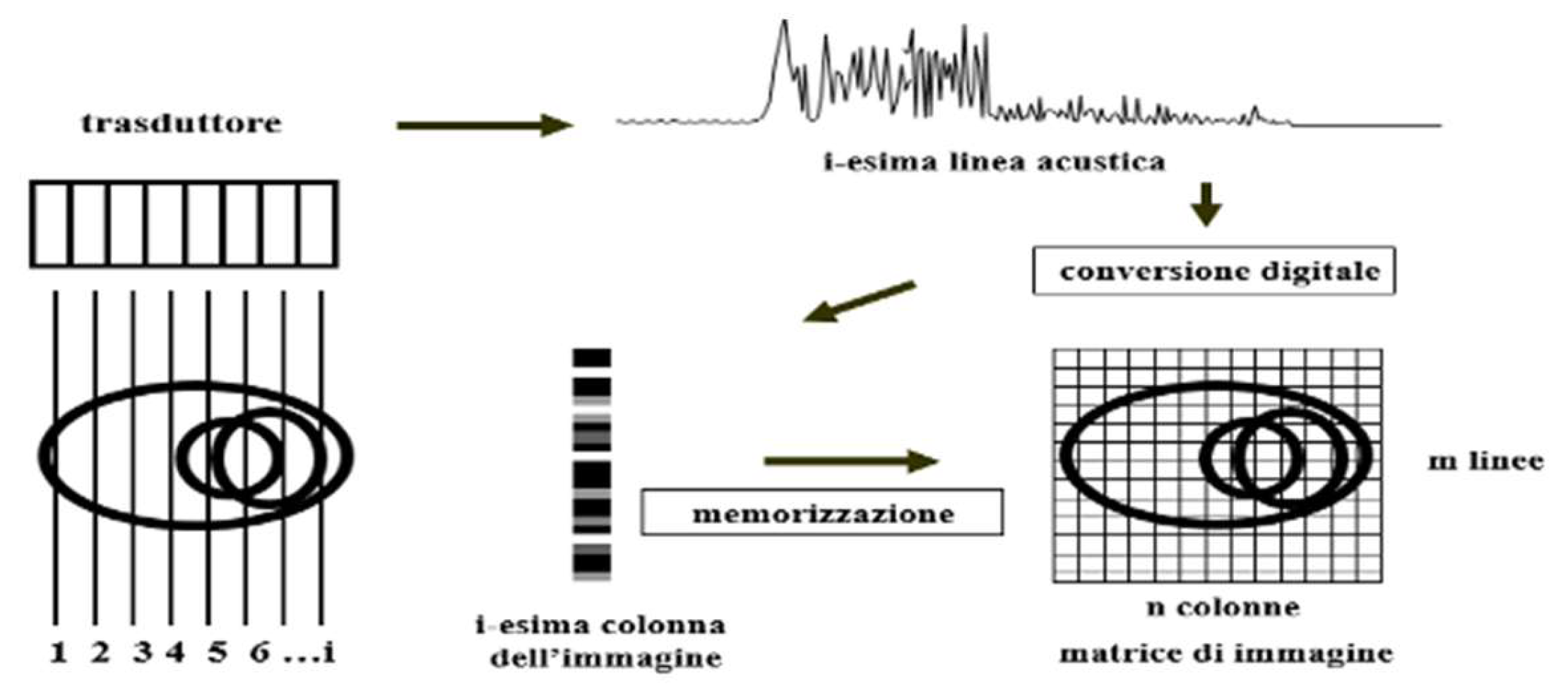 Preprints 187768 g003