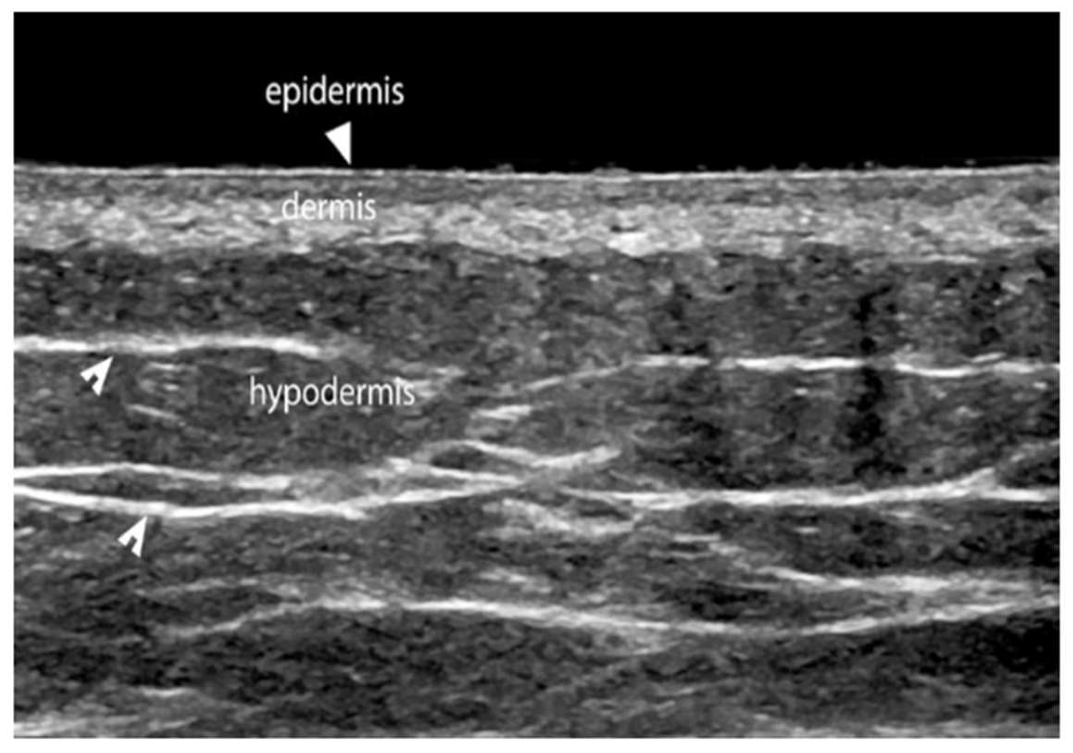 Preprints 187768 g004