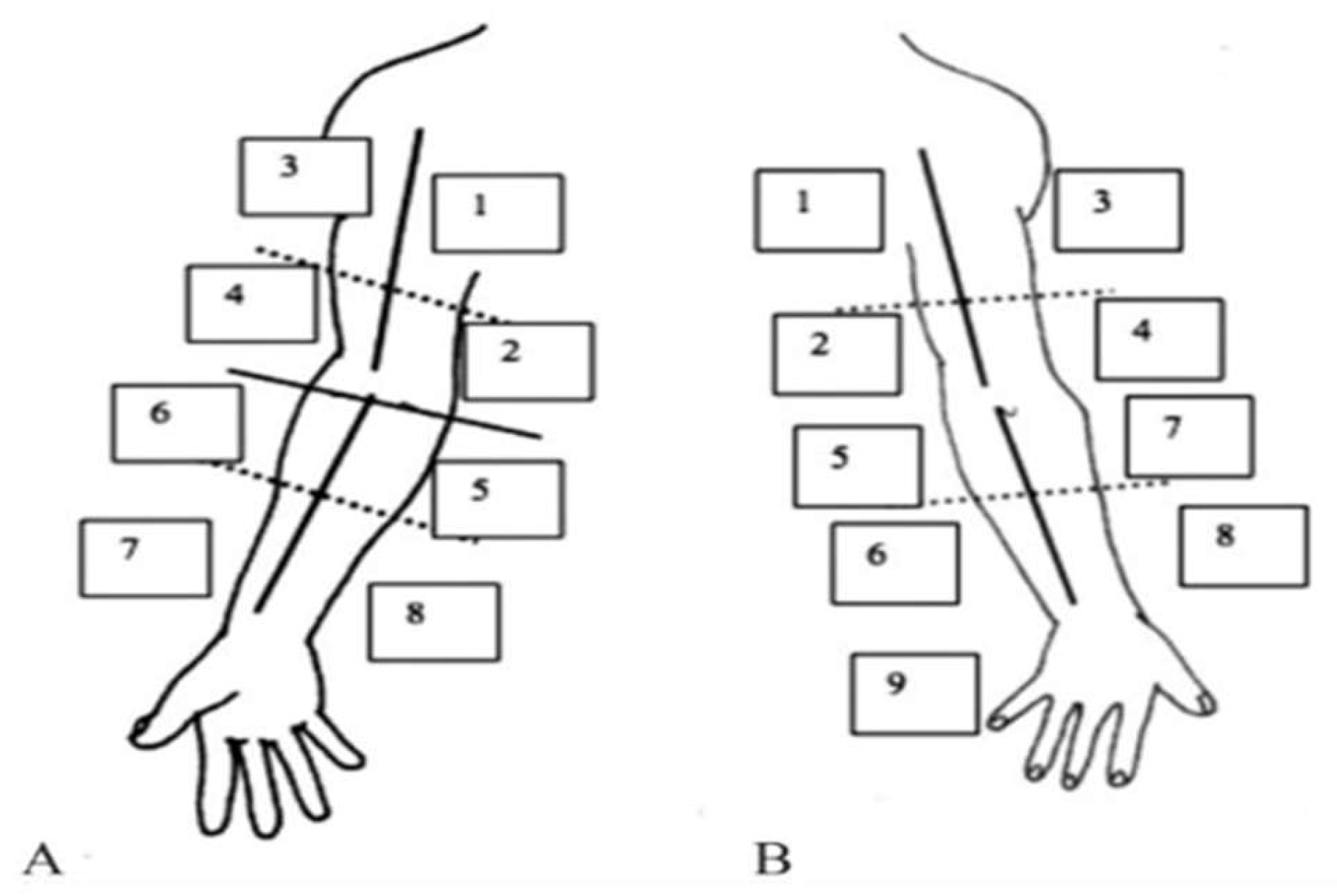 Preprints 187768 g006