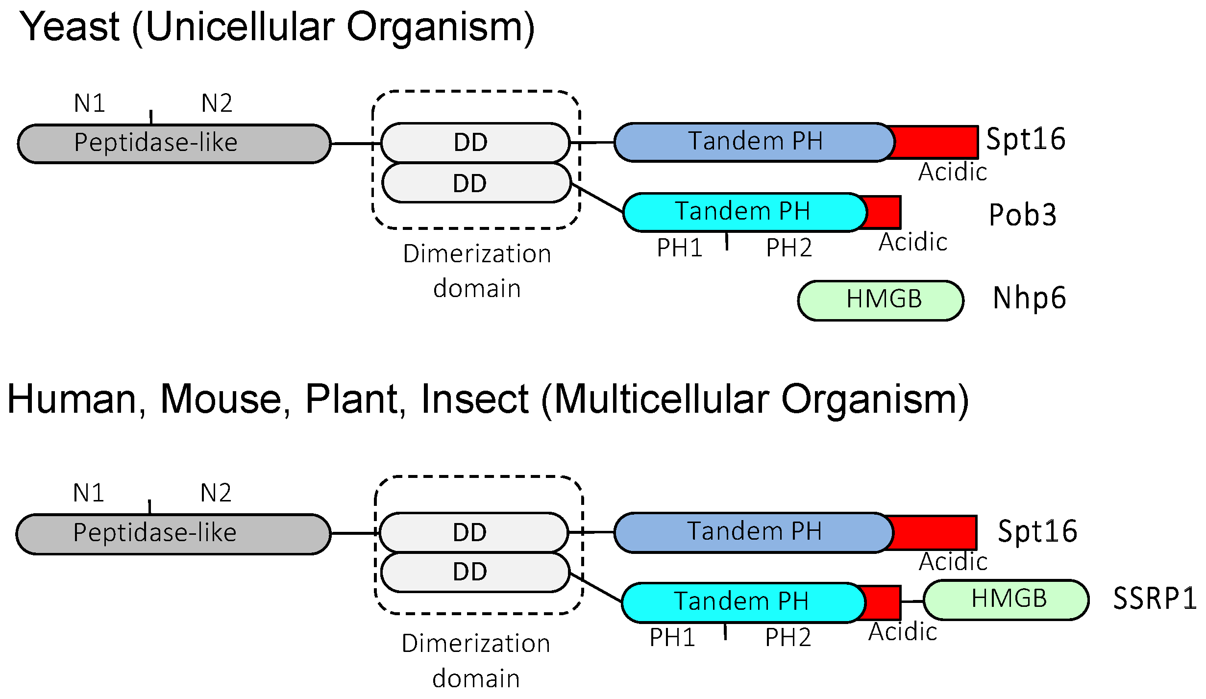 Preprints 67771 g001