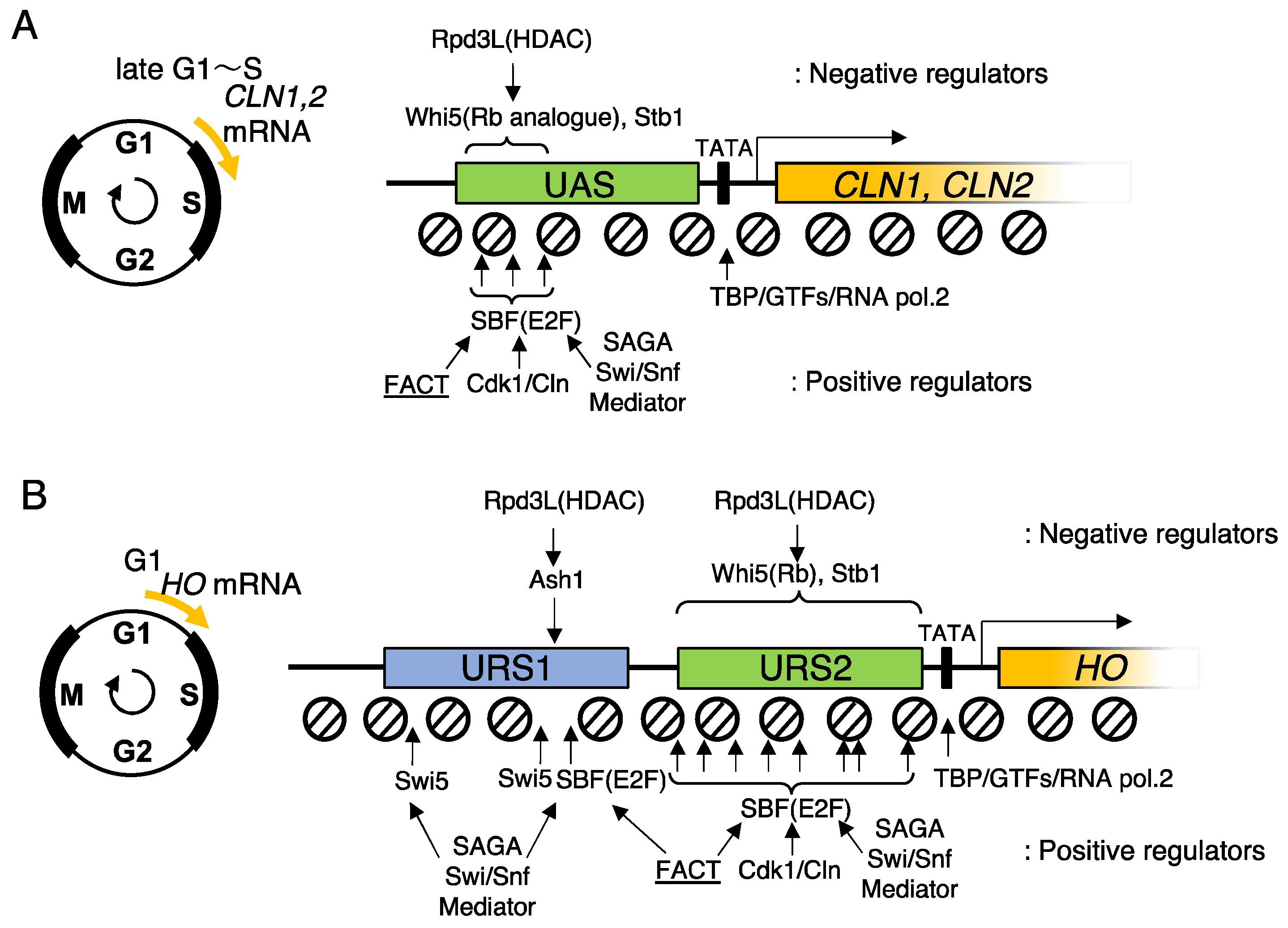 Preprints 67771 g003