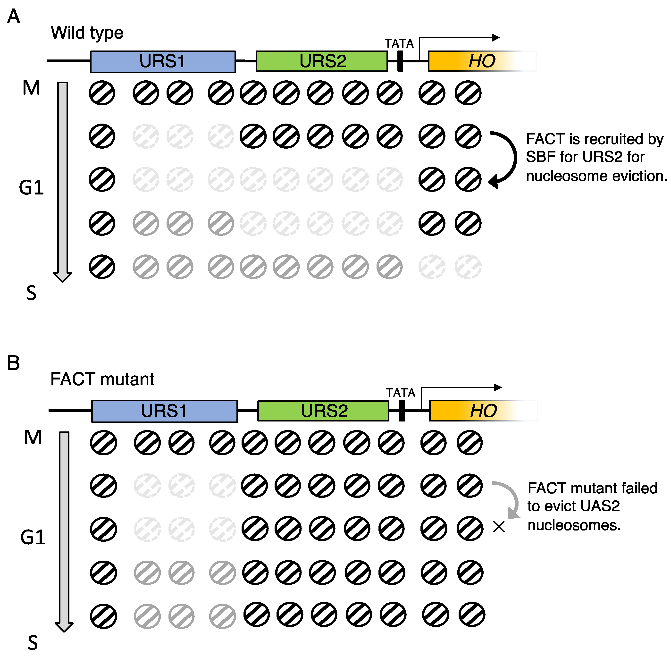 Preprints 67771 g004